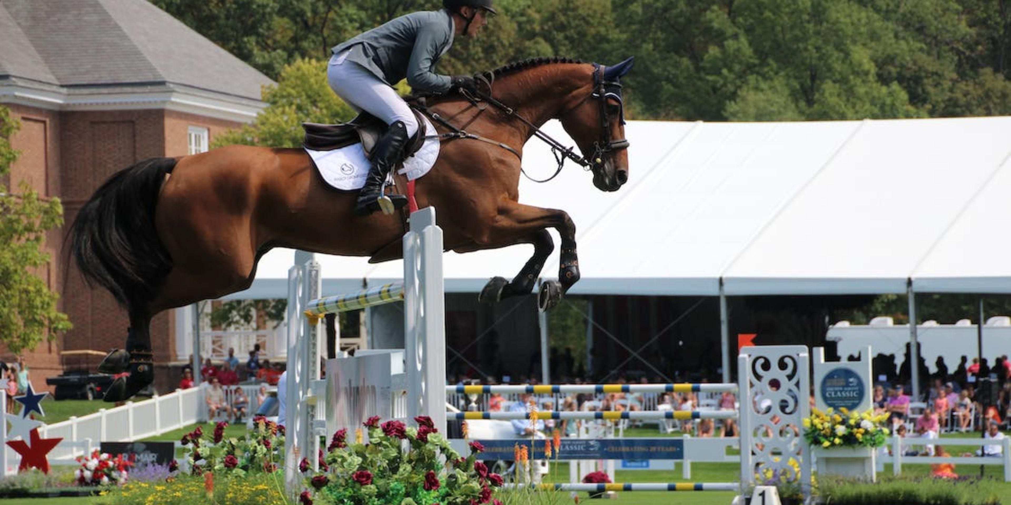 calling-all-horse-show-enthusiasts