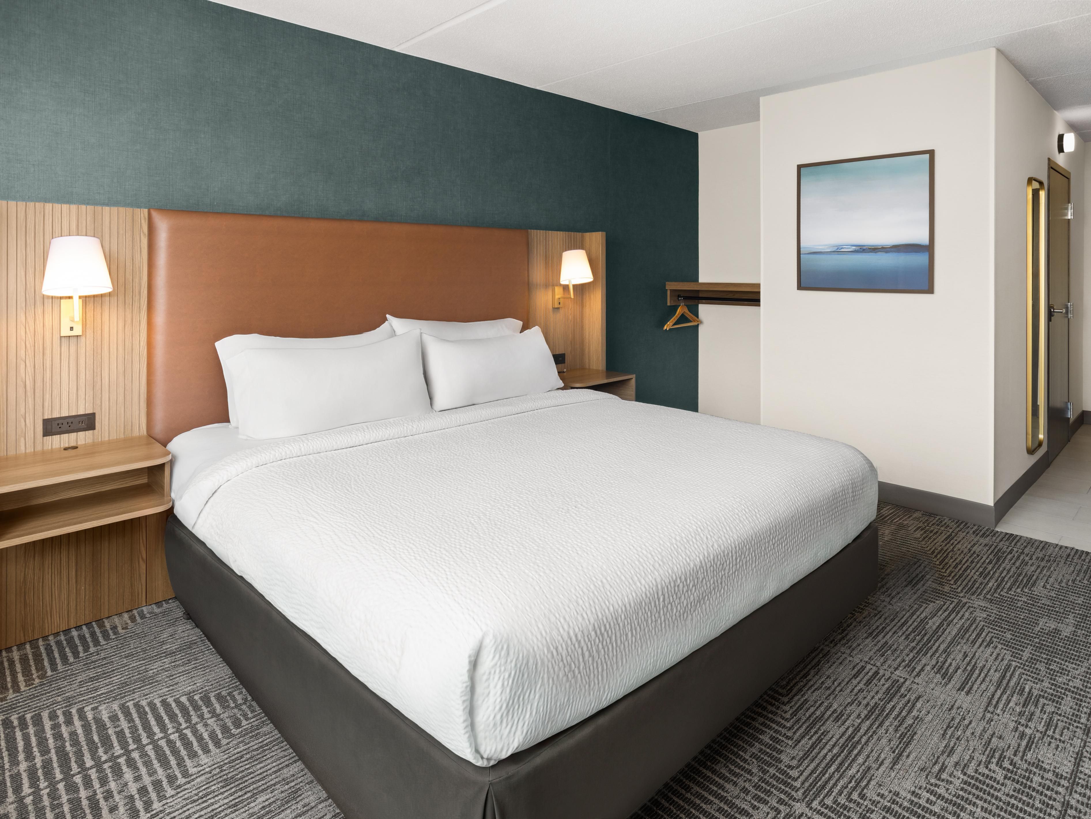 King Bed Guestroom ADA Compliant features roll-in shower.