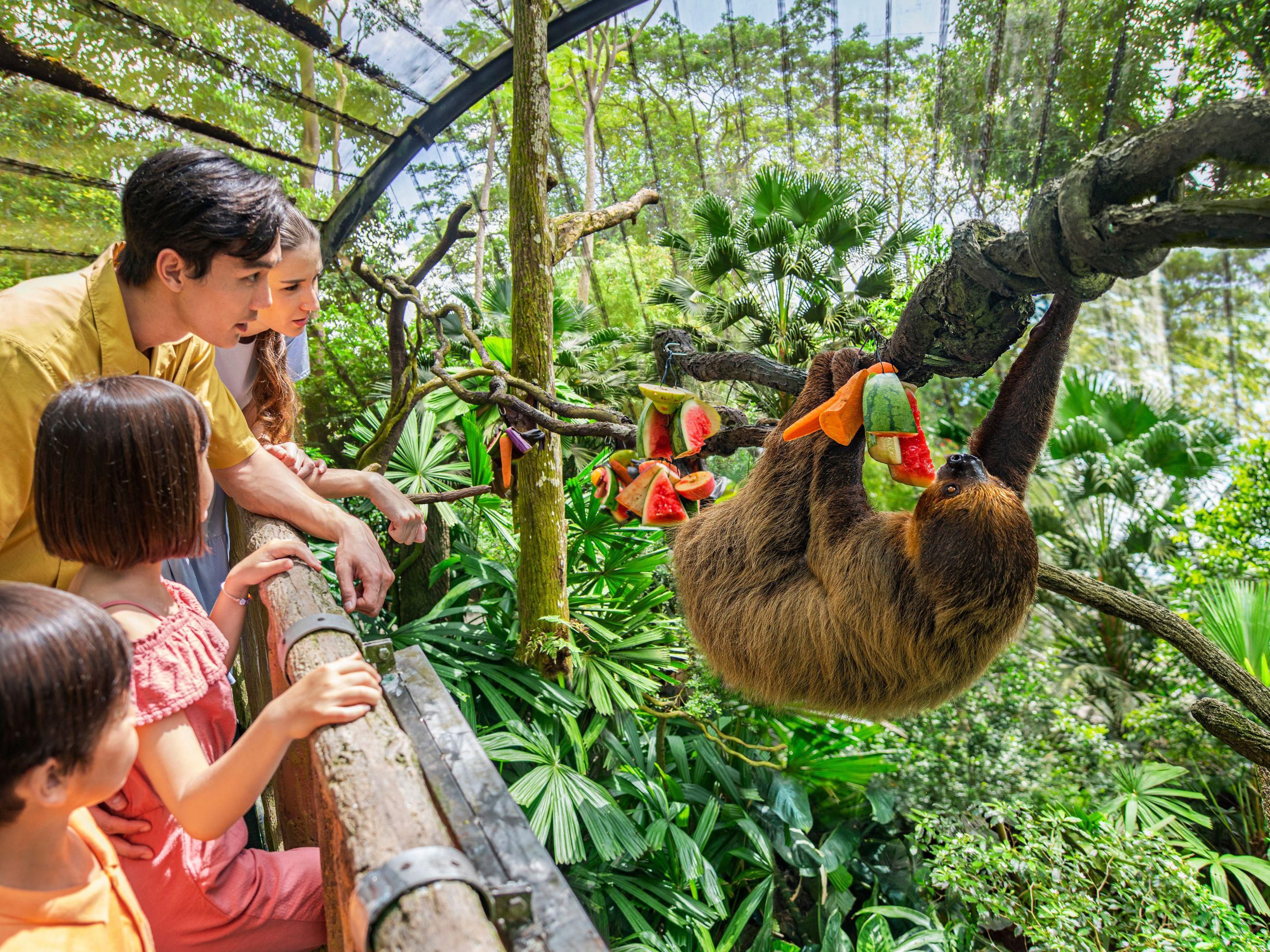 Enjoy a family-friendly staycation in Singapore with 2 adults and 2 children zoo tickets, a complimentary plushie and late check-out (Subject to availability) included. Perfect for a fun-filled family getaway in the heart of Orchard Road.