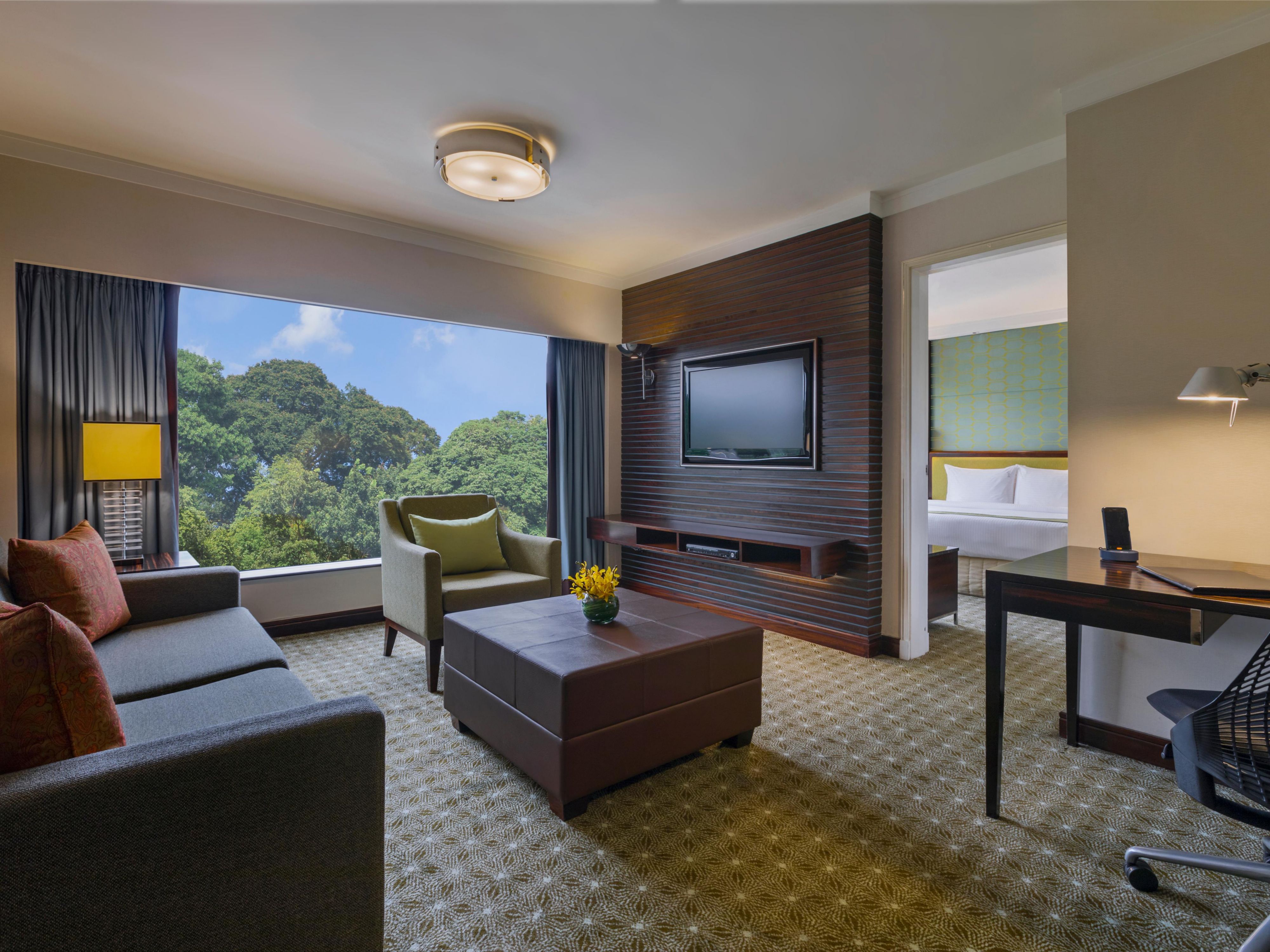 1 King 1 Bedroom Suite with Living Area, Living Room