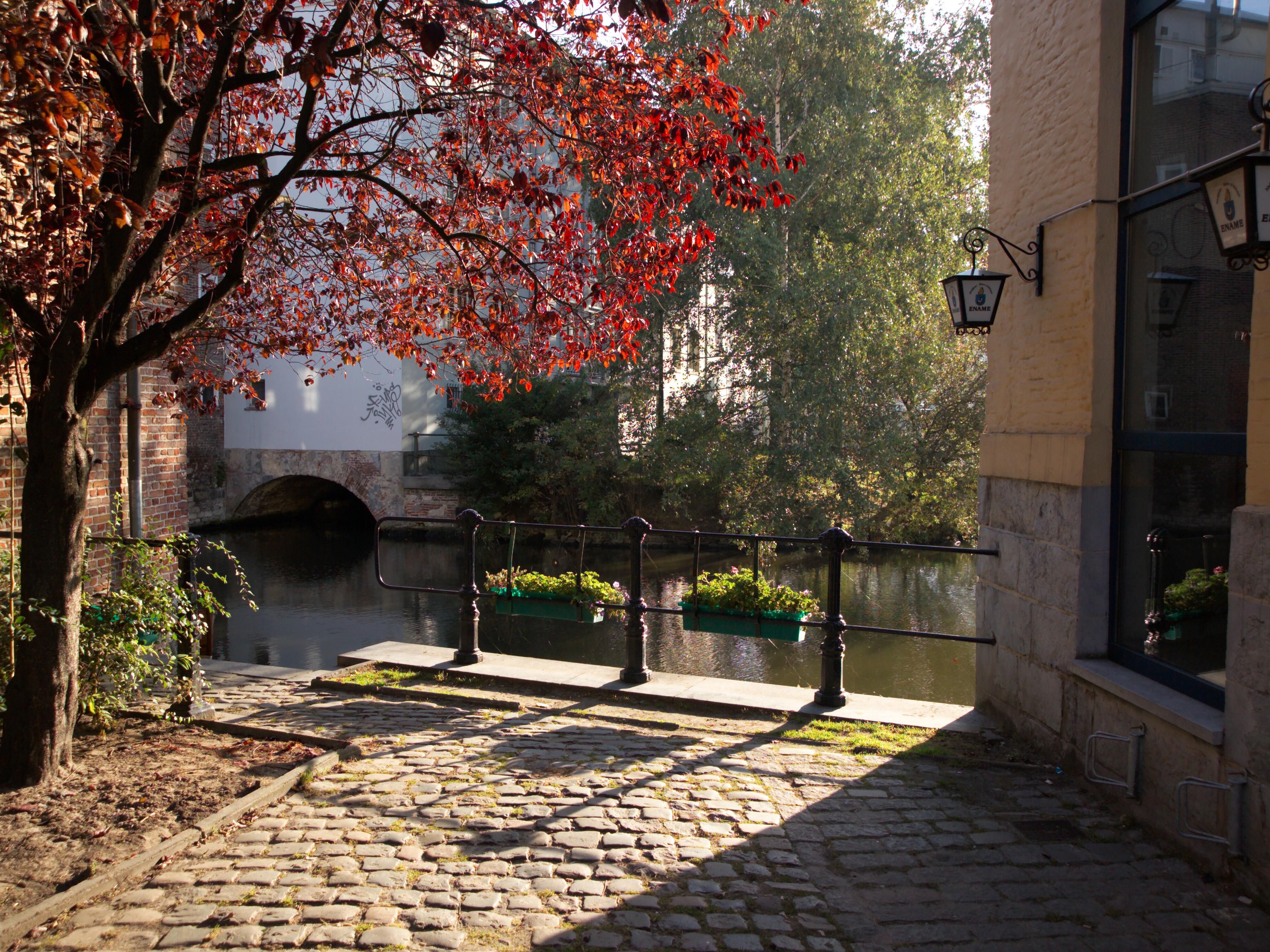 Explore the beauty of Gent!