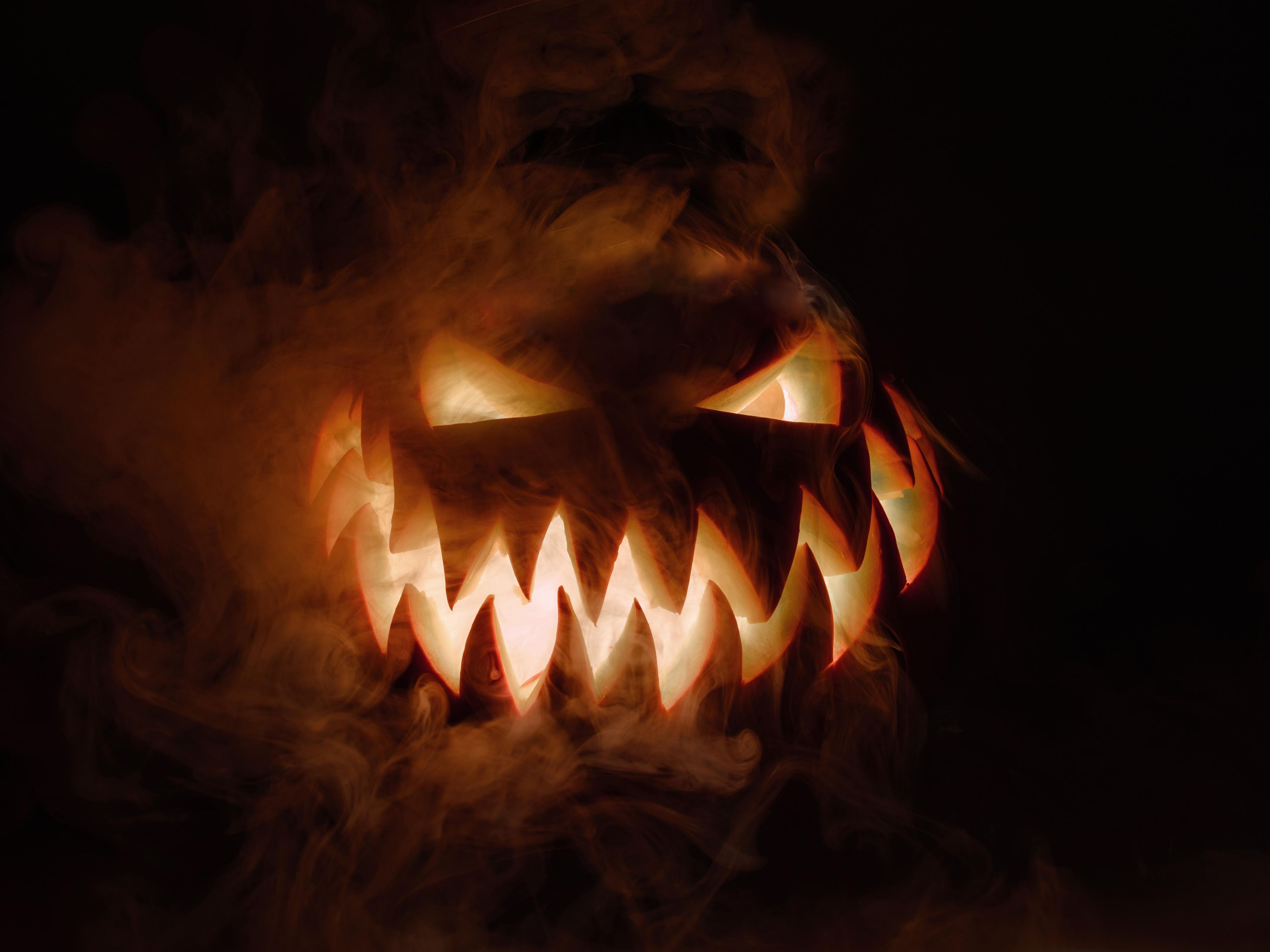 When you stay at Holiday Inn Boston - Cambridge Area, spooky Salem is an easy day trip - just over an hour. Don't miss this haunted walk through history. Take a spine-tingling ghost tour or pub crawl. Visit The Salem Witch Trials Memorial or head to the House of the Seven Gables with harbor views. A frightening array of fun awaits.