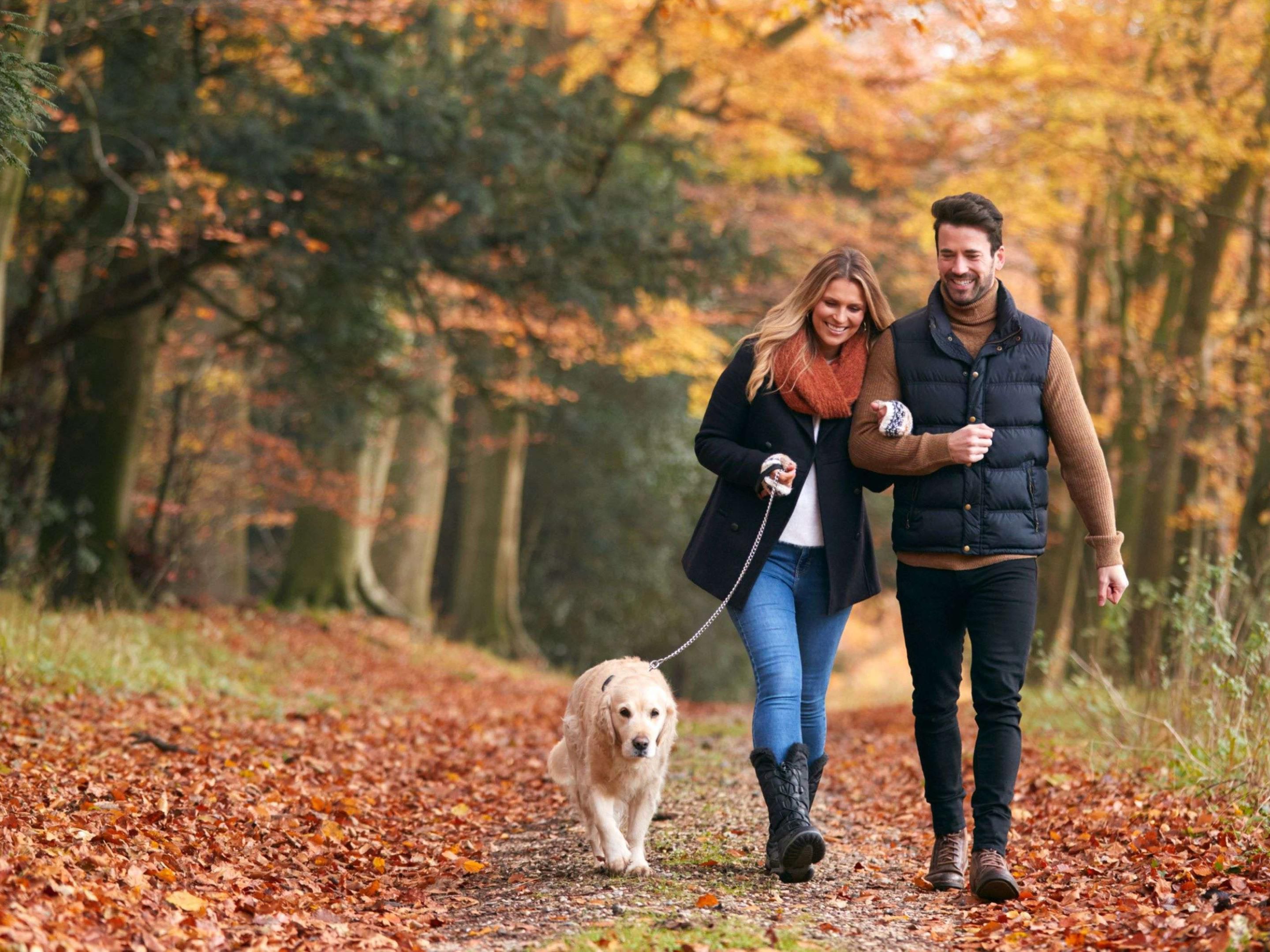 We offer fully renovated pet friendly rooms so you don't have to leave your beloved pet behind!  $25 Pet Cleaning Fee per night applies. 