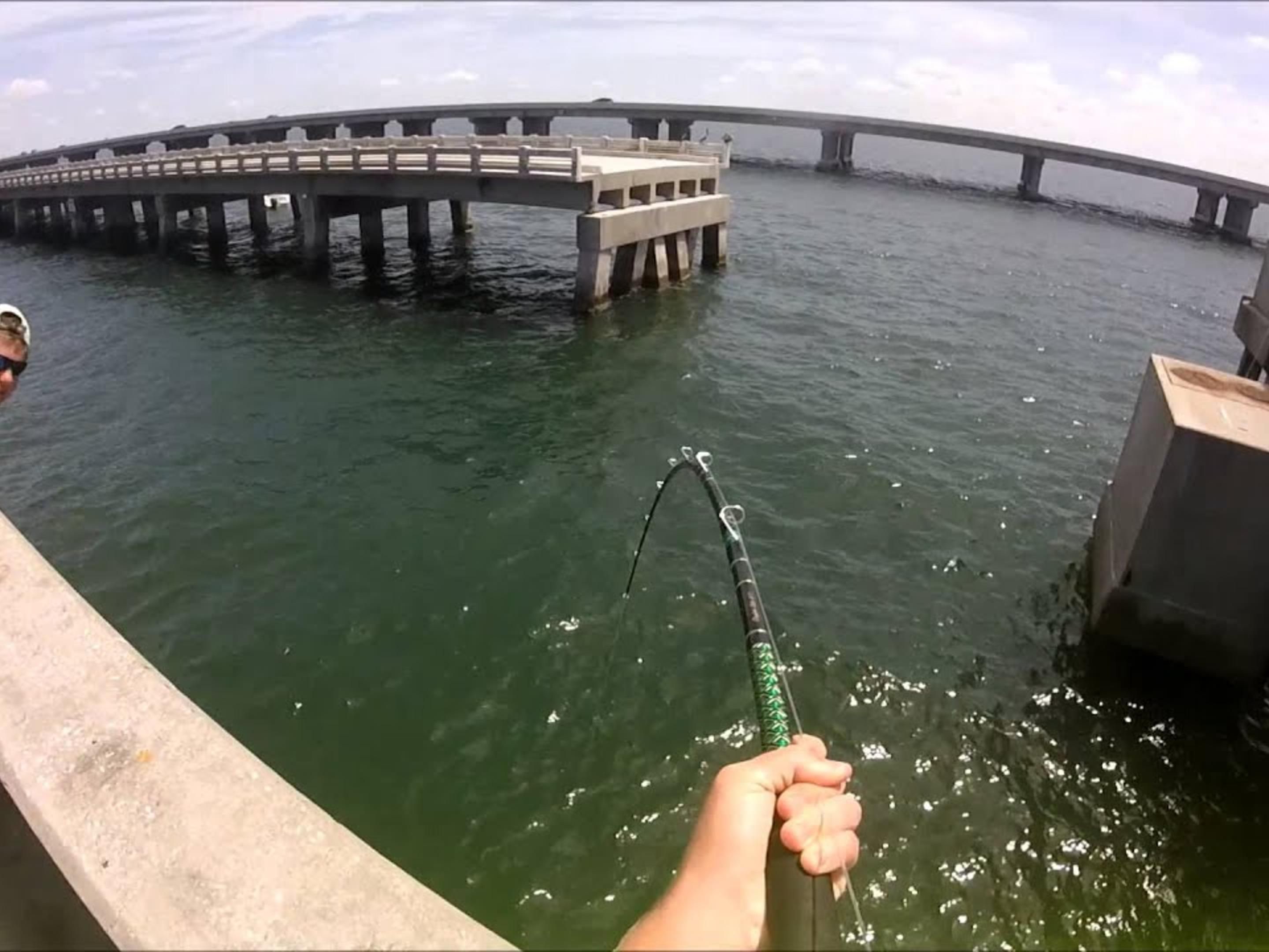 When the new Sunshine Skyway Bridge was built over Tampa Bay, connecting St. Petersburg with Sarasota, the old bridge was turned into the world's longest fishing pier.
Anglers love being able to park their cars within a few feet of their favorite fishing spot. 