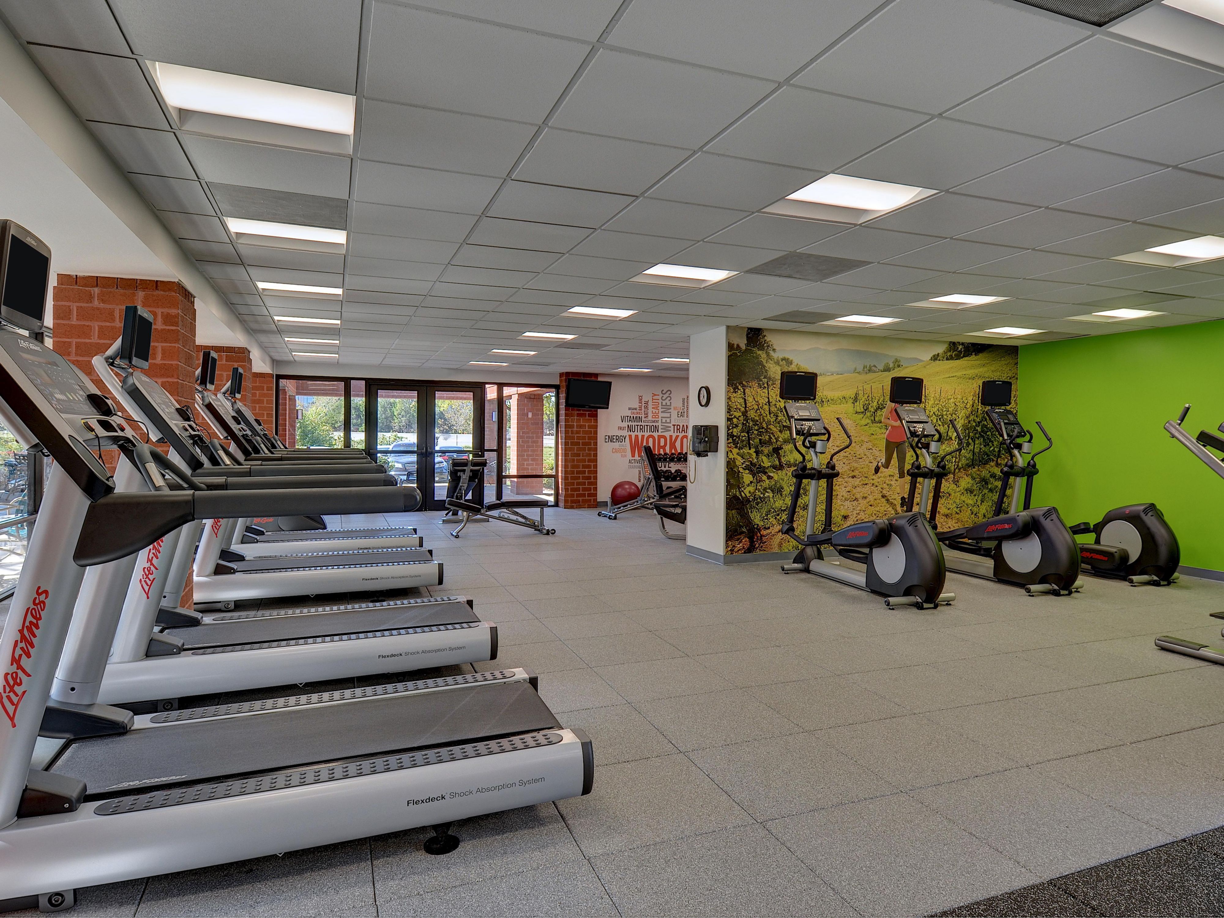 PetFriendly Hotel near IAD Holiday Inn WashingtonDulles Intl Airport