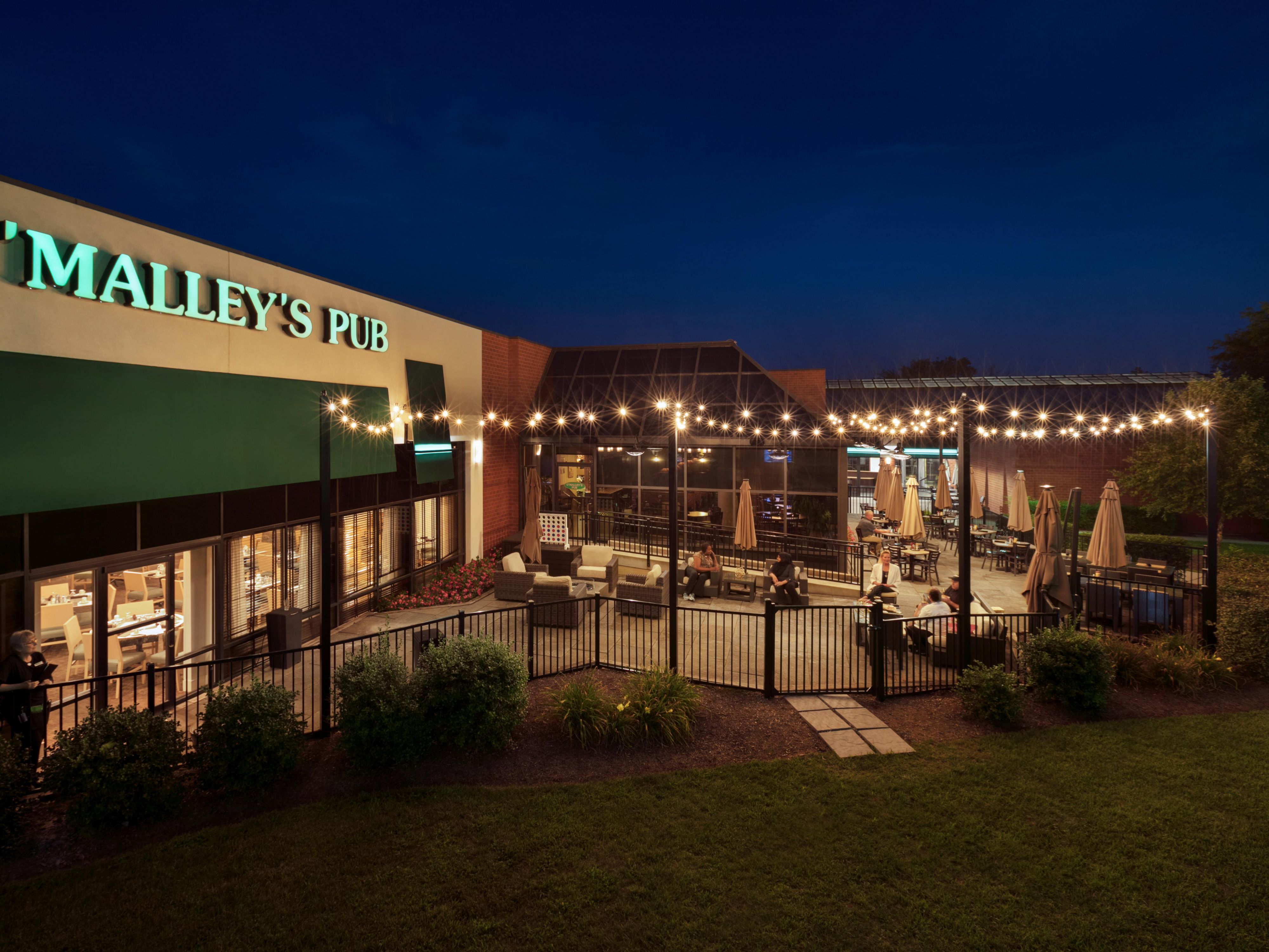 PetFriendly Hotel near IAD Holiday Inn WashingtonDulles Intl Airport