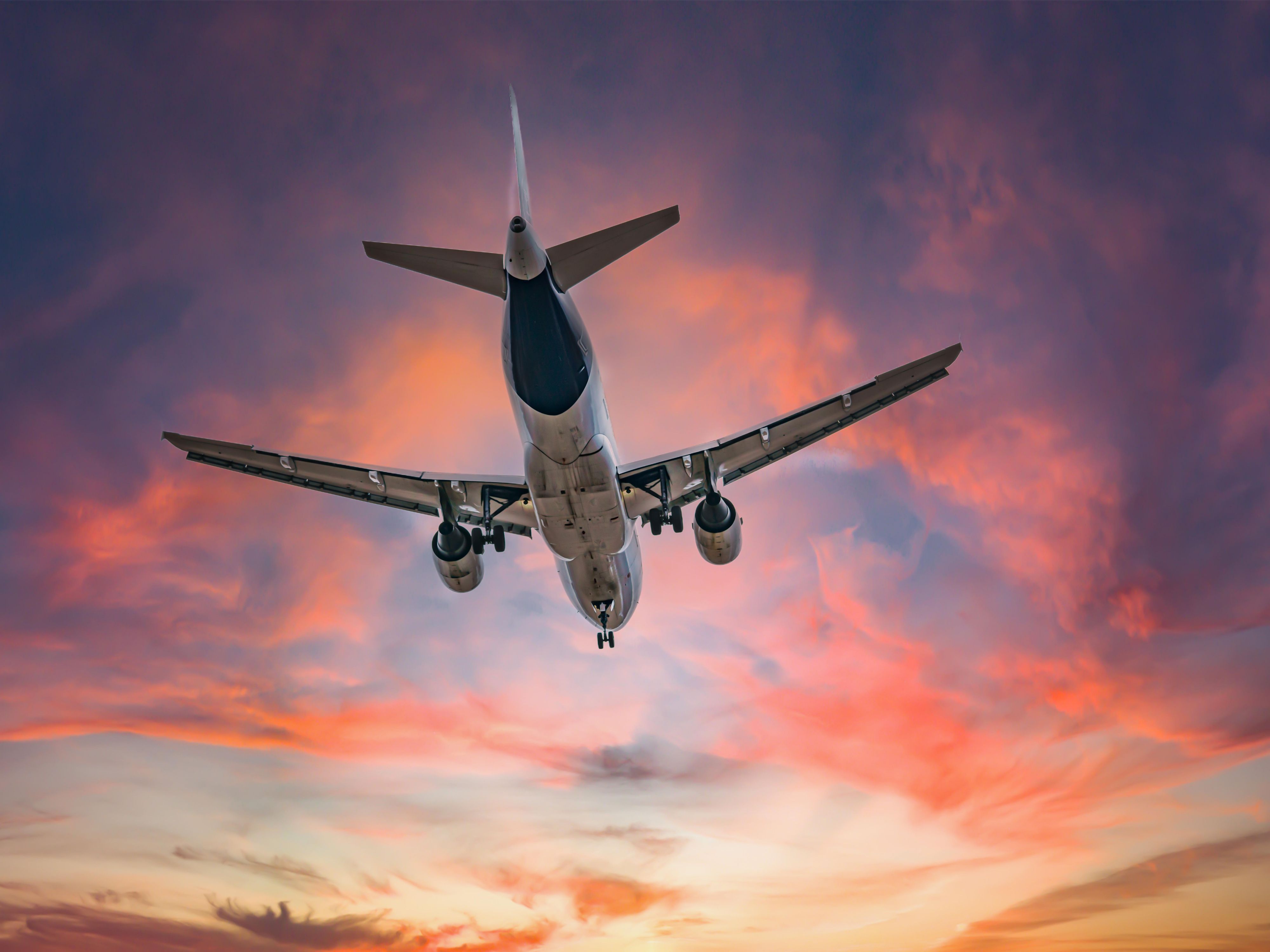 PetFriendly Hotel near IAD Holiday Inn WashingtonDulles Intl Airport