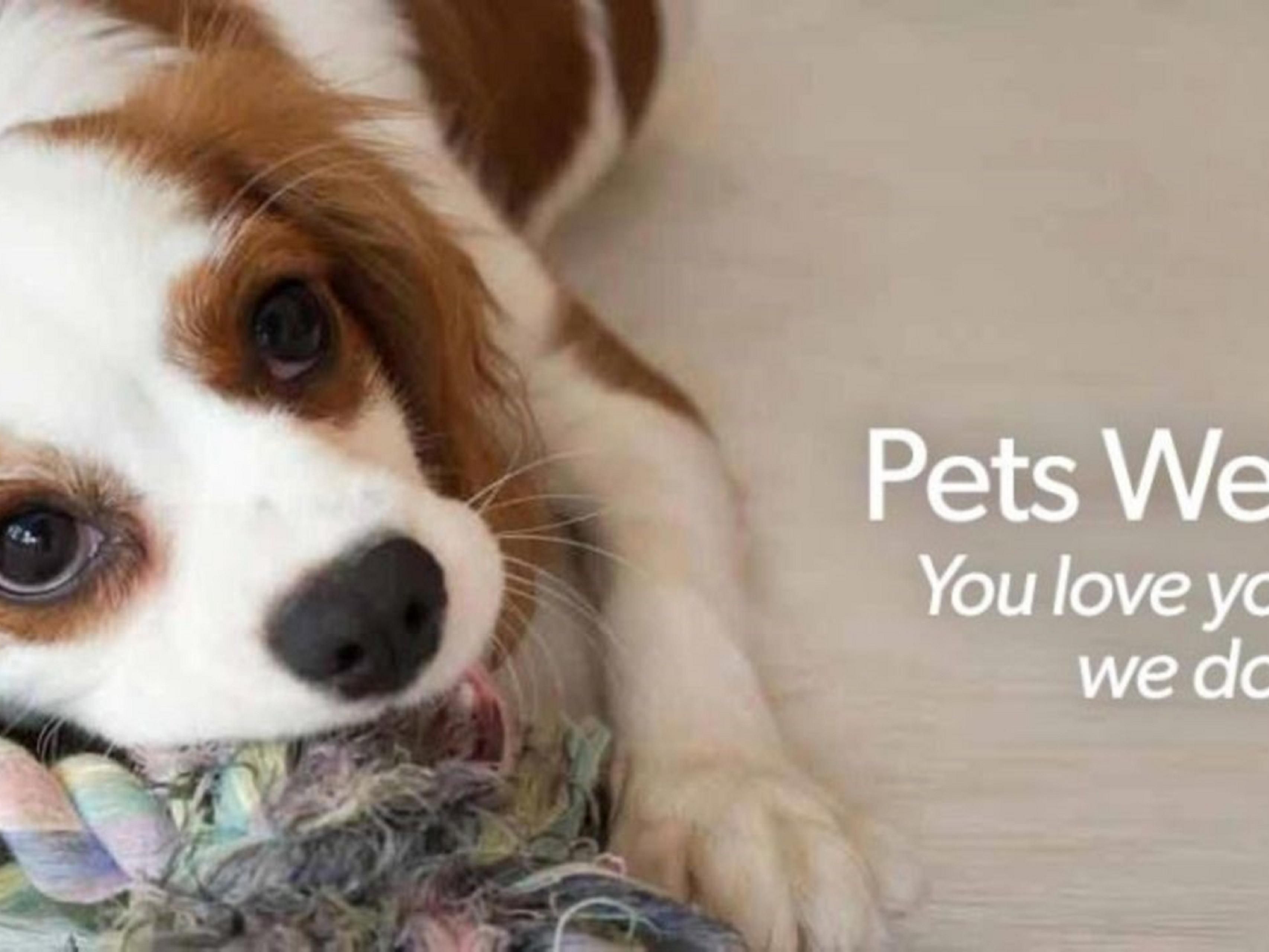 Sit, stay, & play at the Holiday Inn Philadelphia South - Swedesboro! We are delighted to welcome furry canine companions who are 30 pounds and under. Guests bringing their dog will be charged a non-refundable fee of $25 per stay.
