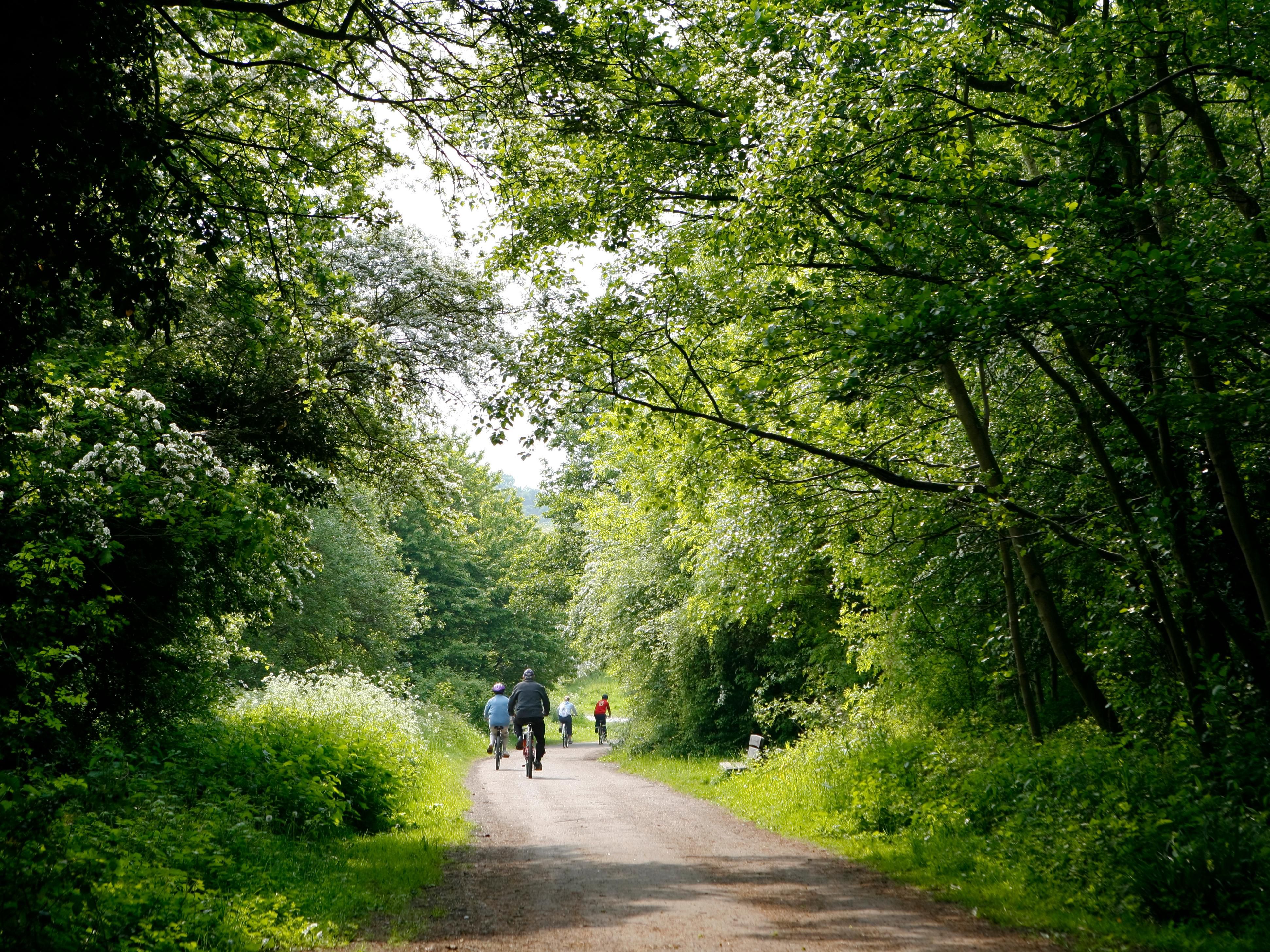 Accessed via the hotel's back gate, explore the award winning town park with its beautiful gardens, walking and running routes, lakes, statues and children's activity zones.  It's a great place to relax, rejuvenate, burn off energy or take the dog for a stroll!  After all, it's their holiday too!
