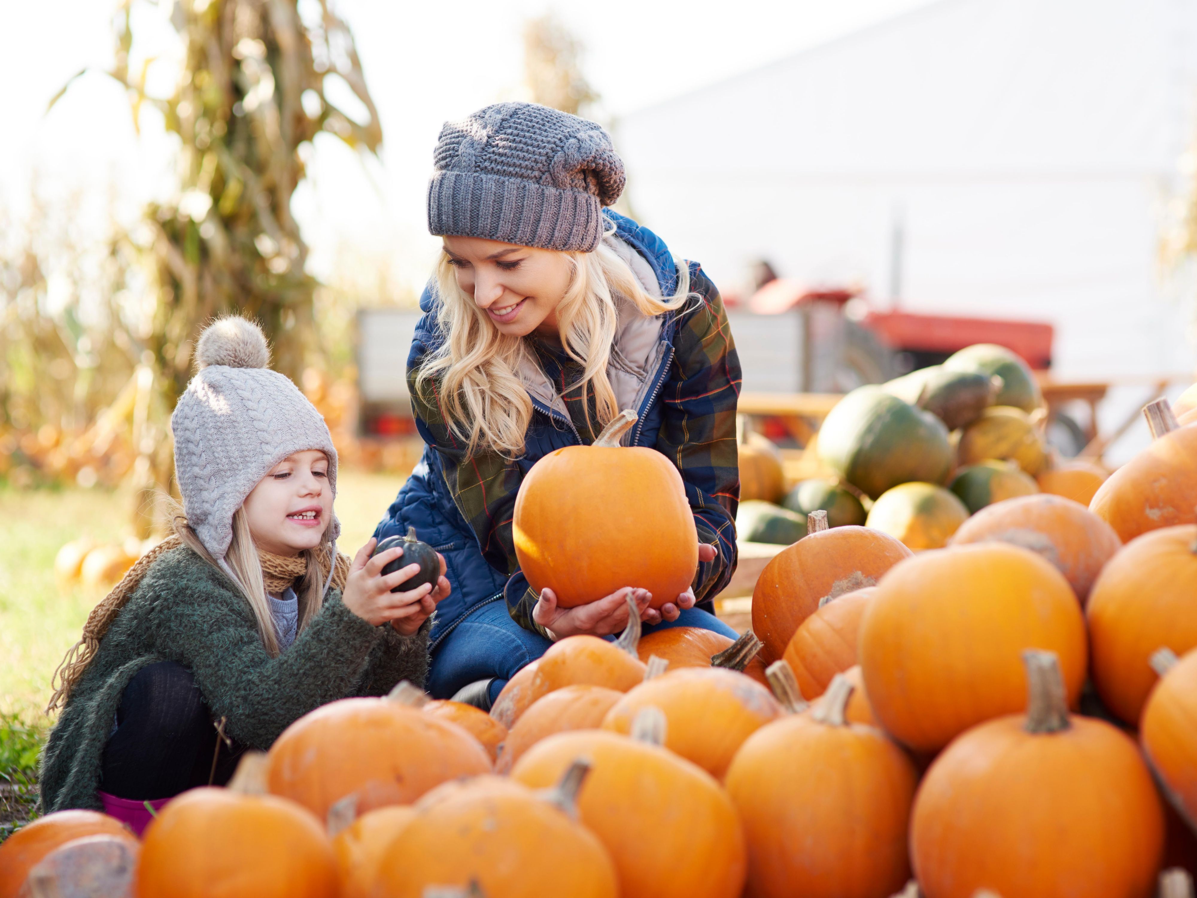 Indulge in autumn’s best at our hotel’s Pumpkin Spice Menu!  Celebrate the season with every bite and sip—your perfect fall escape awaits. Taste the magic of pumpkin spice today!