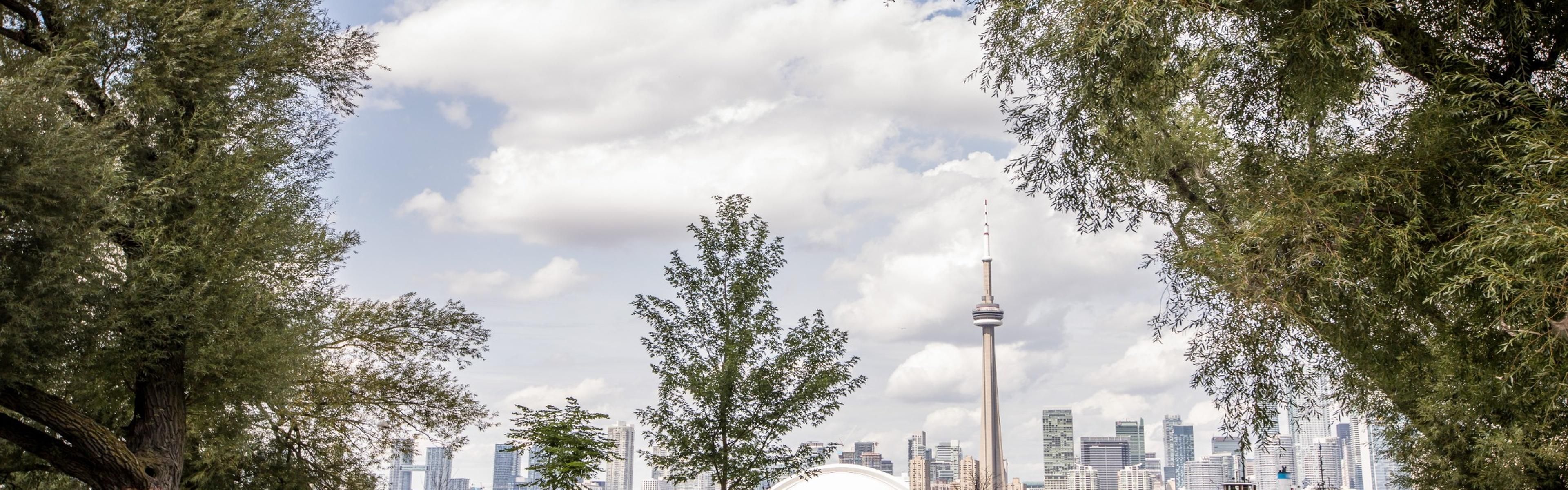 Explore Toronto Island and relaxes at one of the three beaches. 