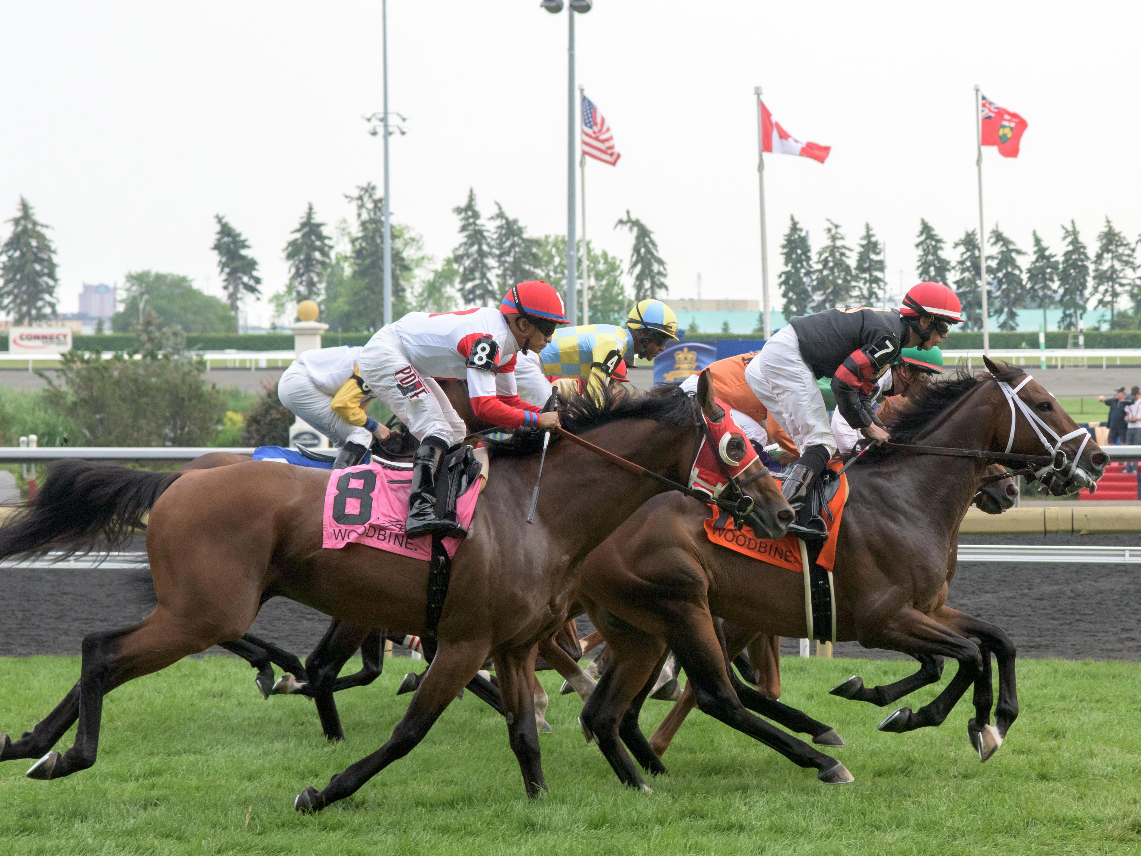 Looking for some action while visiting the Toronto Airport? Less than 10 minutes away, you will find Woodbine Race Track & Casino. Try your luck at the slots or pick the winner in the race.