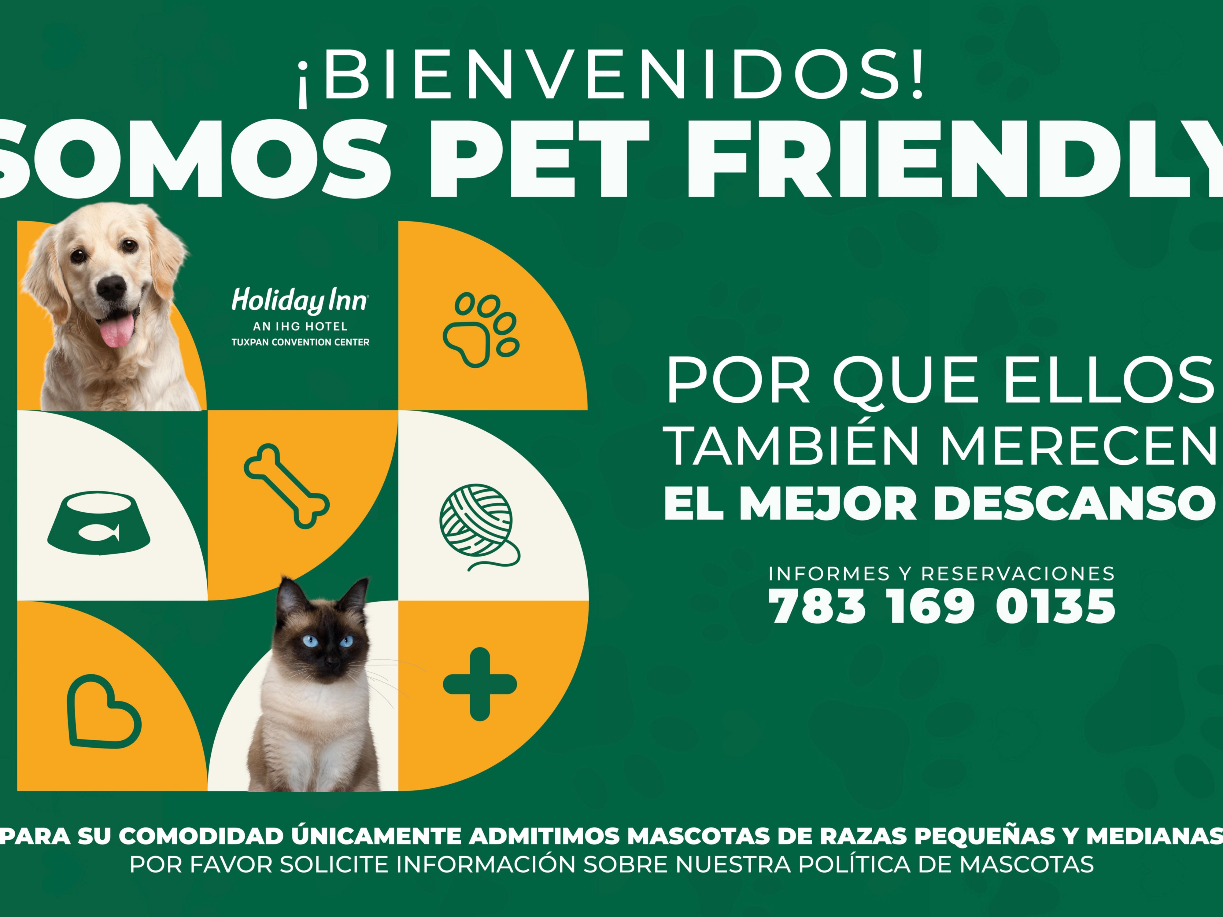 ¡Te invitamos a disfrutar de una estadía única, donde tu mascota es más que bienvenida! Contamos con áreas especiales para ellos, para que tanto tu como tu compañero peludo se sientan cómodos y felices. Ven y relájate en un ambiente pet friendly, diseñado para brindarte una experiencia inolvidable ¡Reserva ahora y haz de tu estancia una aventura!