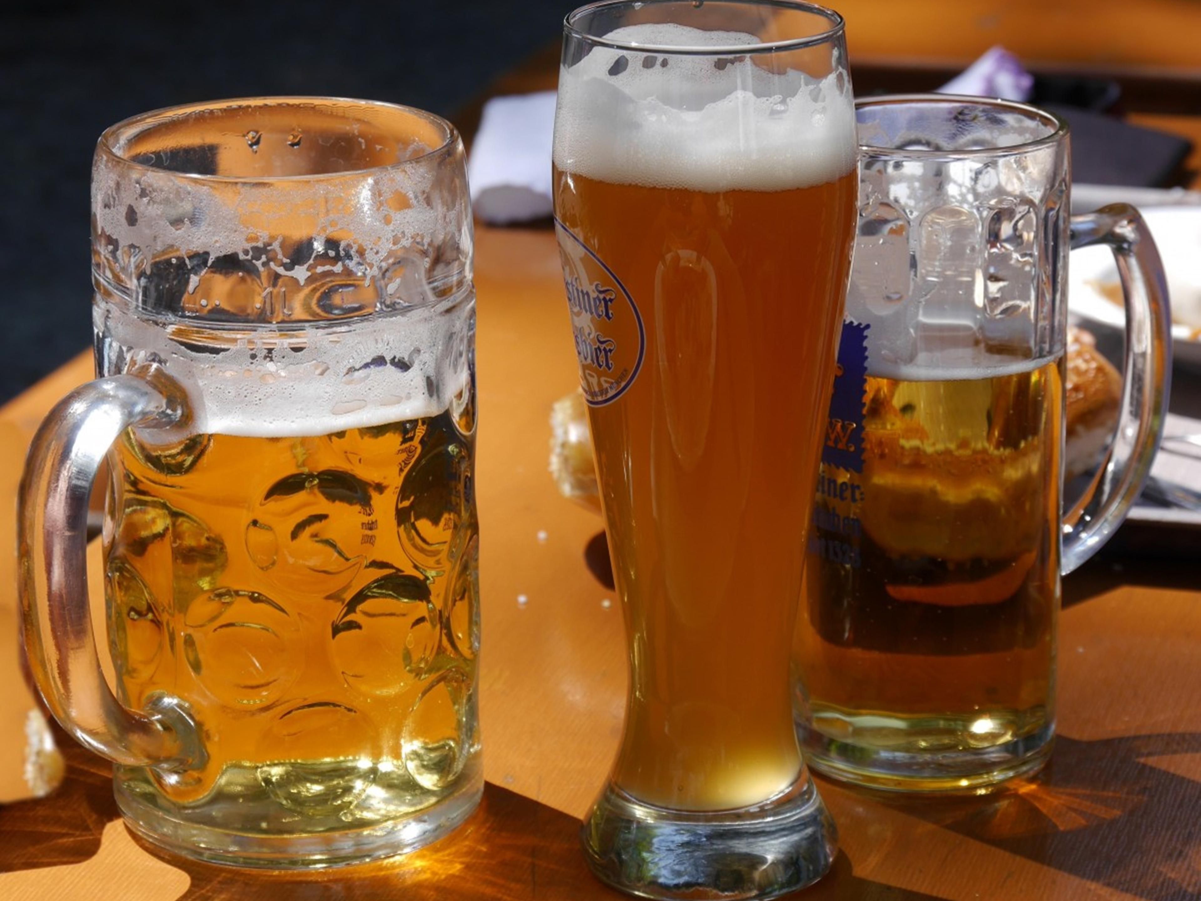 Hotels in Valdosta, GA near Wild Adventures Holiday Inn Valdosta