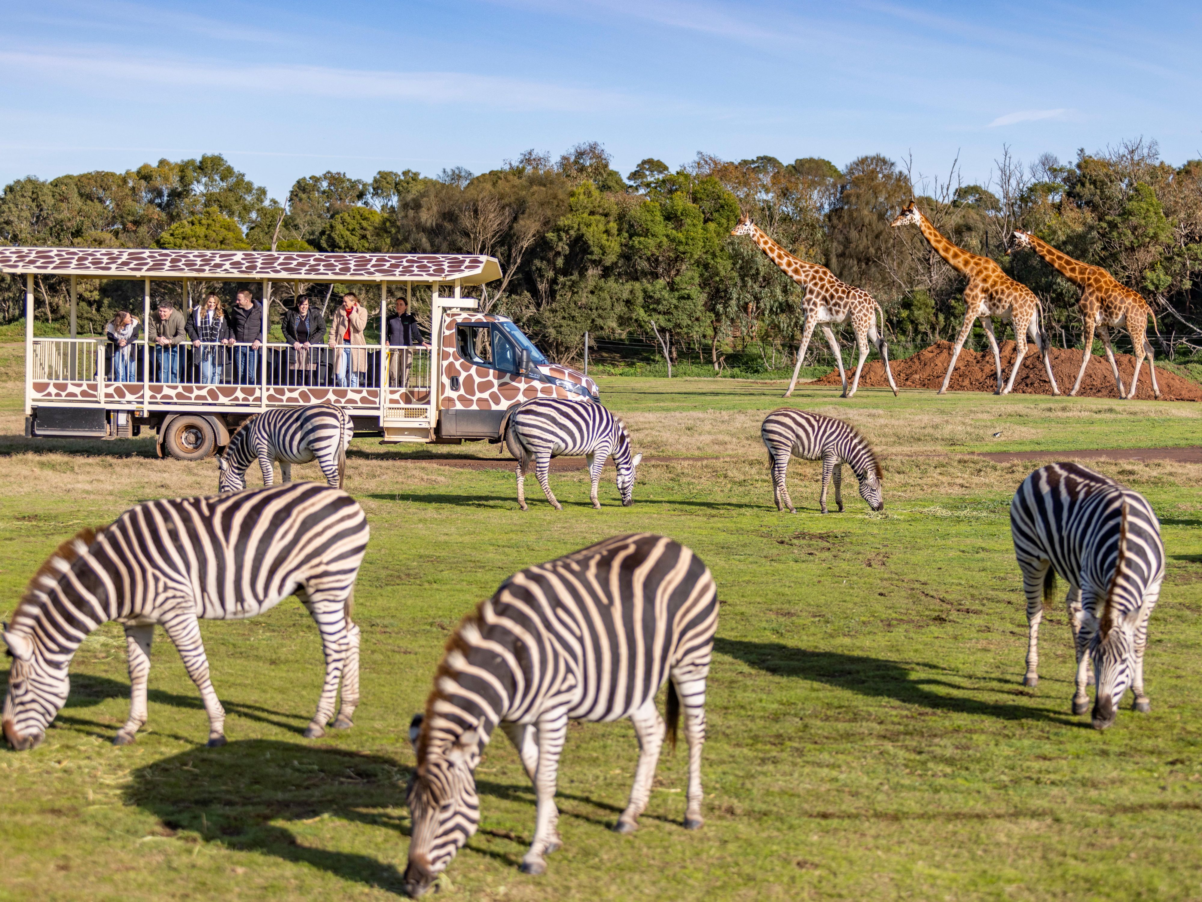 Enjoy the ultimate family escape with a fun day at Werribee Zoo. Includes a Family Pass to Werribee Open Range Zoo. Accommodation. Parking included and Kids Stay & Eat Free. Tickets are Max 2 Adults 2 Children.