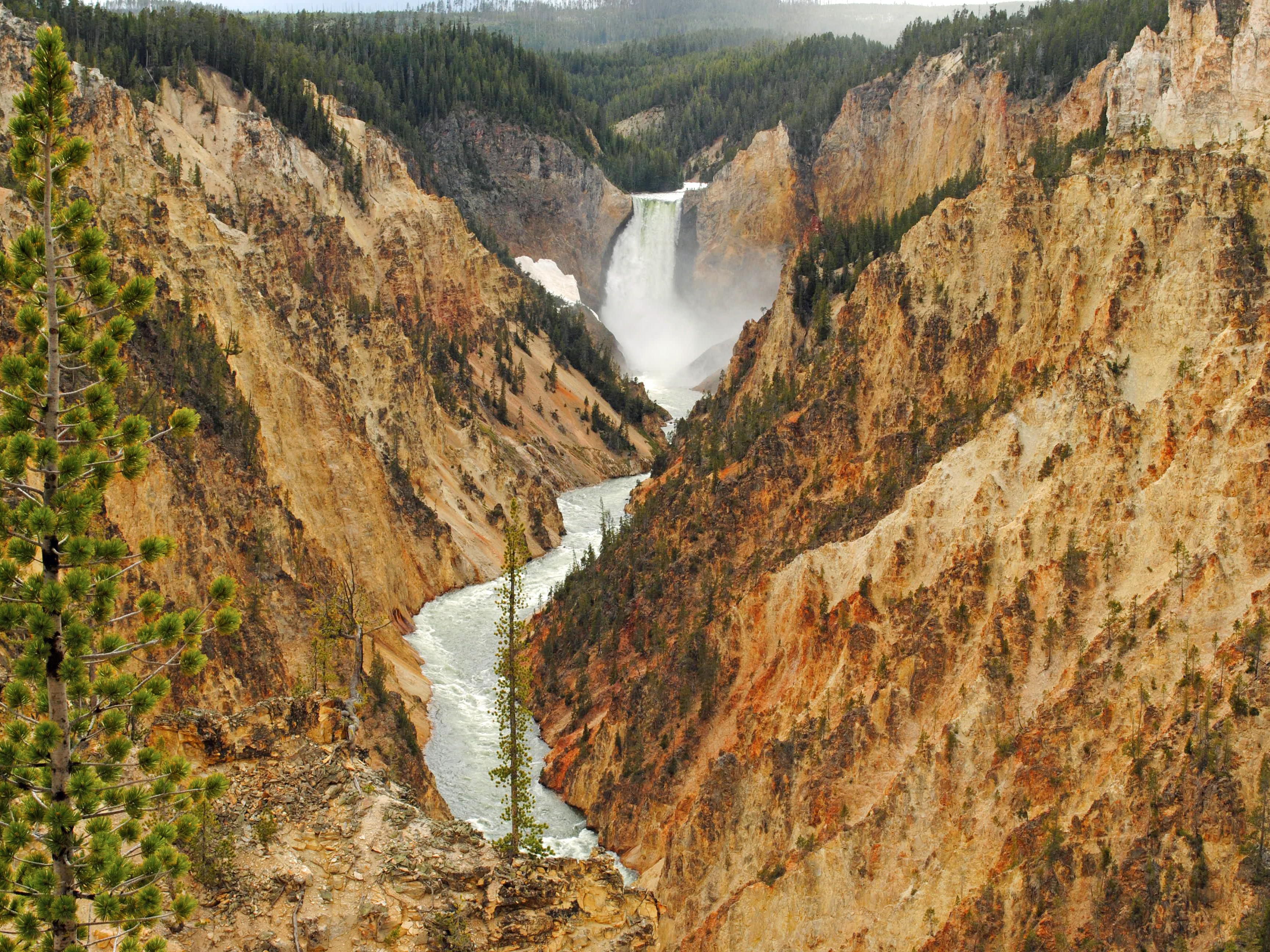 Scopri la comodità della posizione privilegiata del nostro hotel, a soli due isolati dall'ingresso ovest del Parco Nazionale di Yellowstone. Che tu sia desideroso di esplorare le meraviglie naturali del parco o di visitare i negozi locali e assorbire il fascino di una piccola città, ti offriamo un facile accesso. Goditi la nostra navetta gratuita per le principali destinazioni di West Yellowstone. 