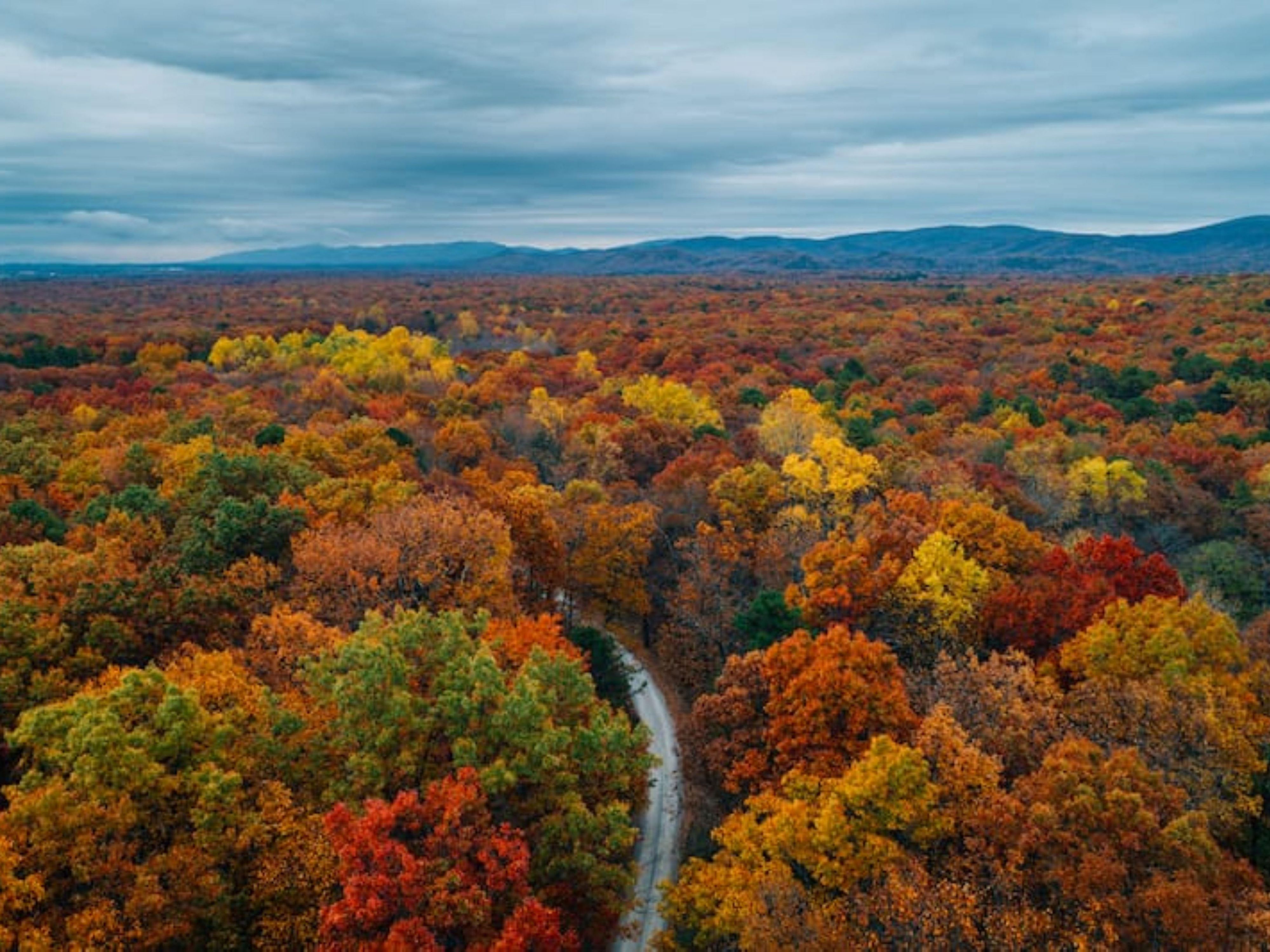 Fall Escape