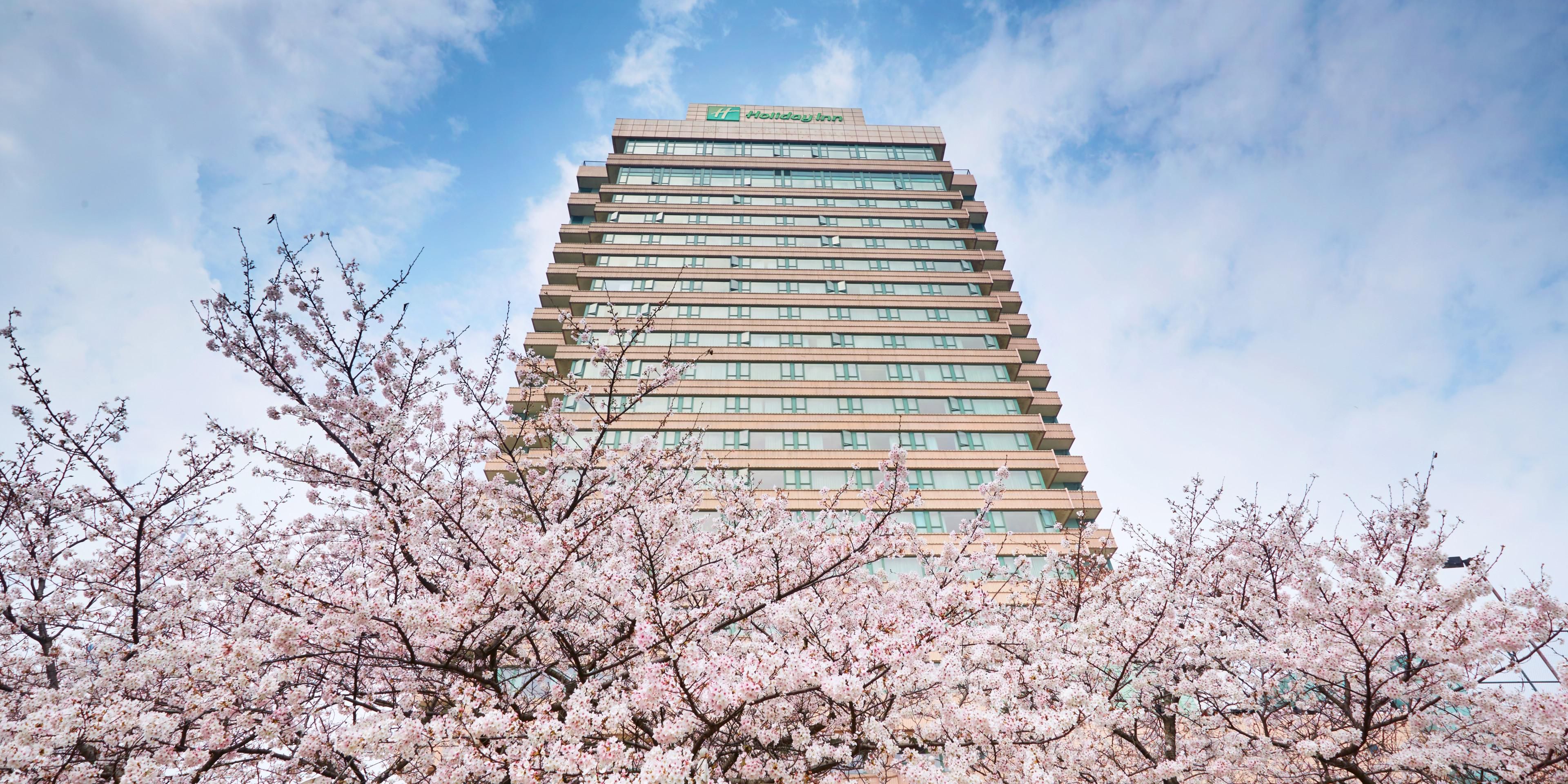 Holiday Inn 武汉晴川假日酒店