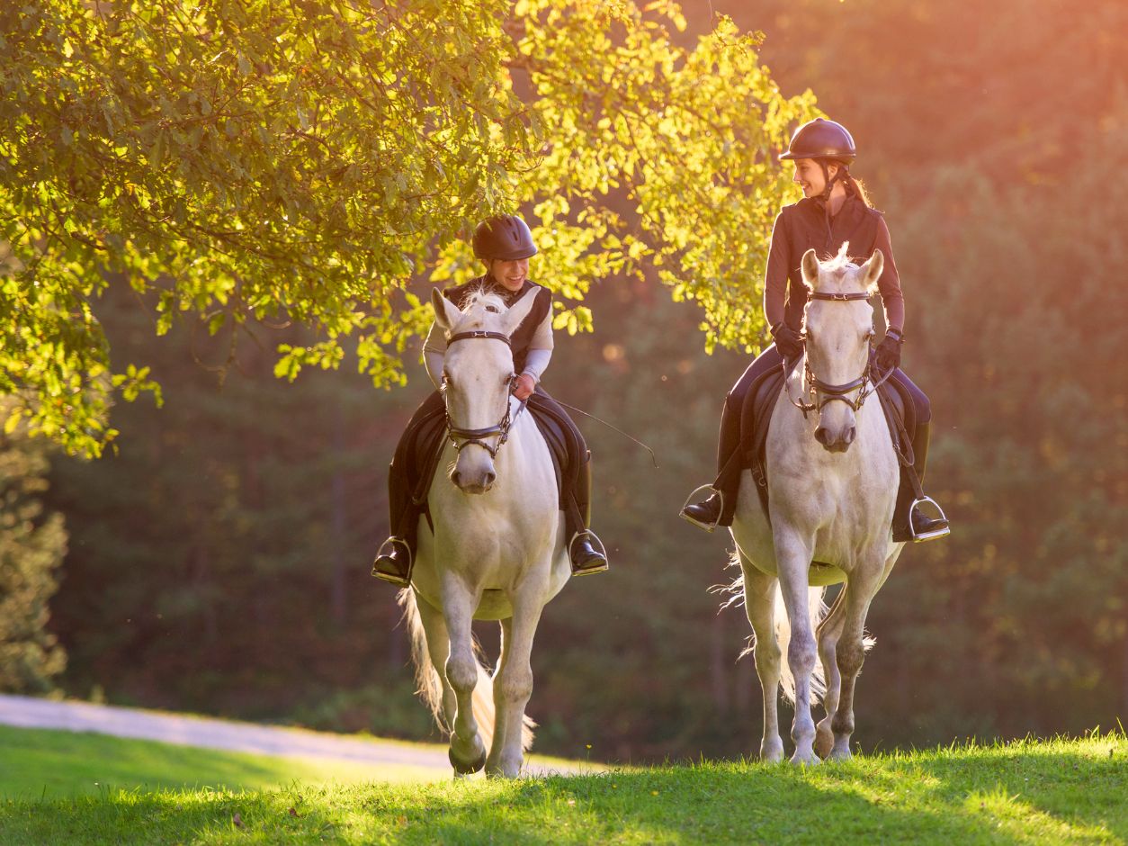 Horse riding