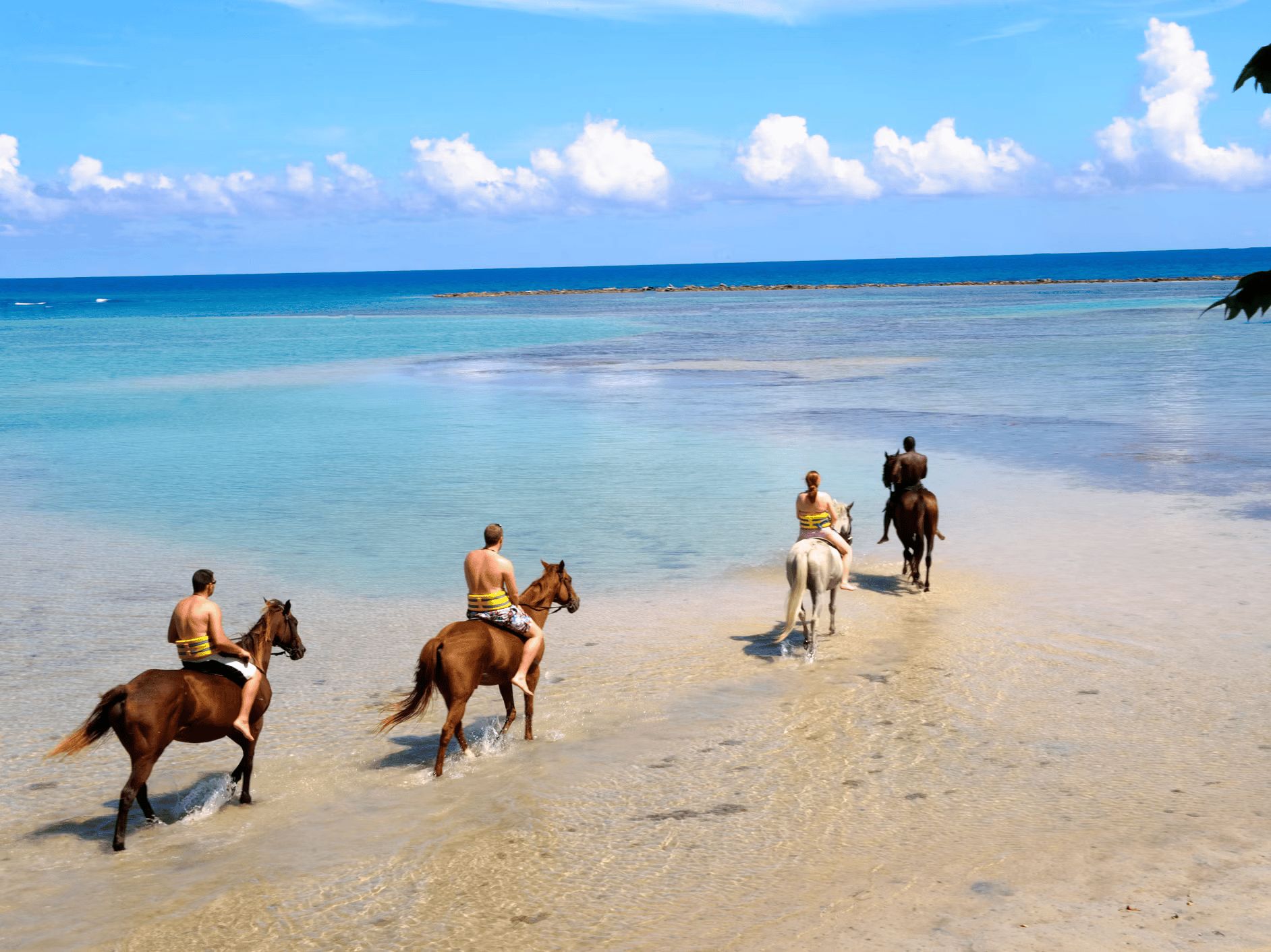 Horseback ride along the beach 