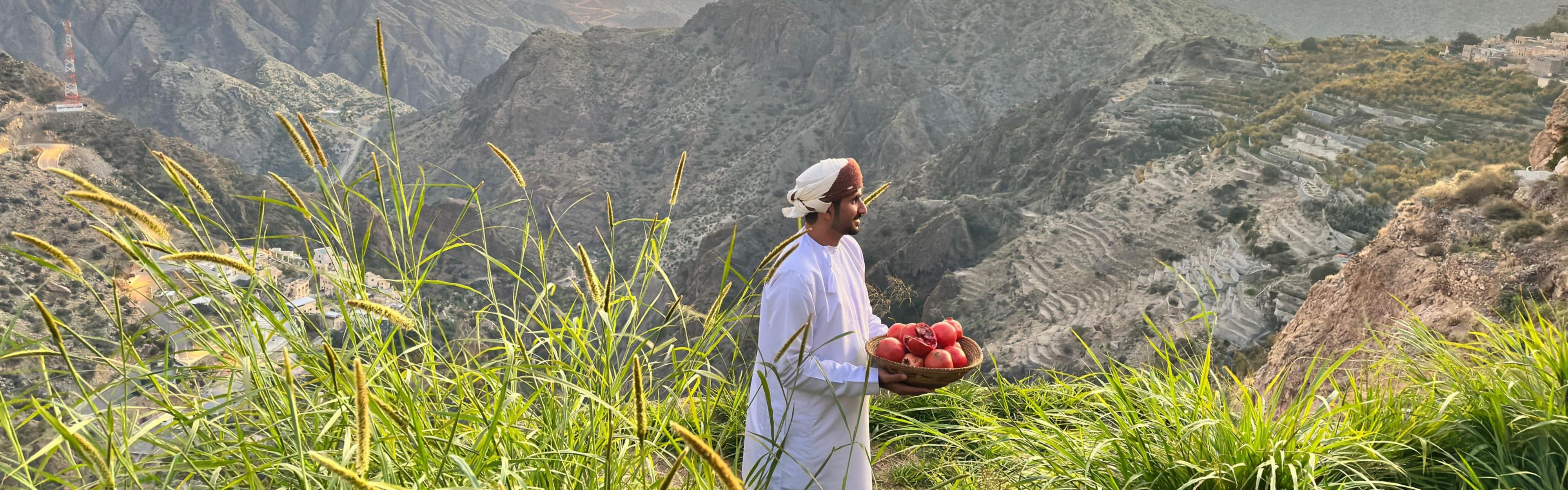 يشارك دليل الجبل الأخضر جمال حقول الرمان