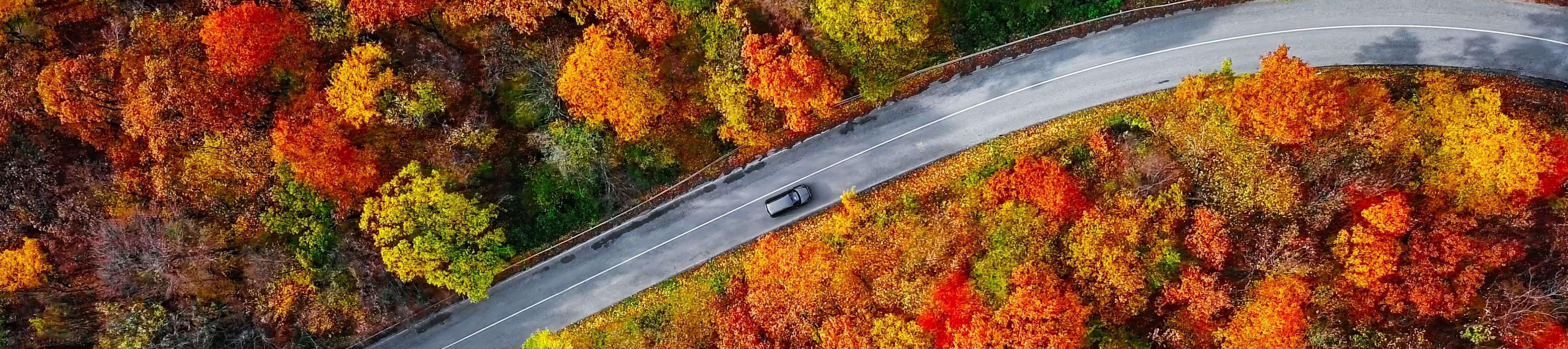 autumn road with car