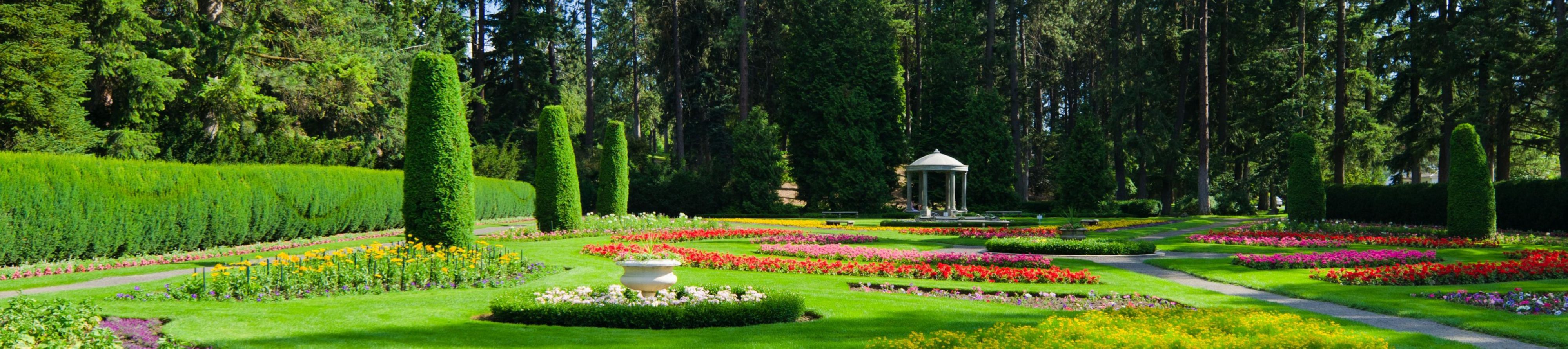 garden full of flowers