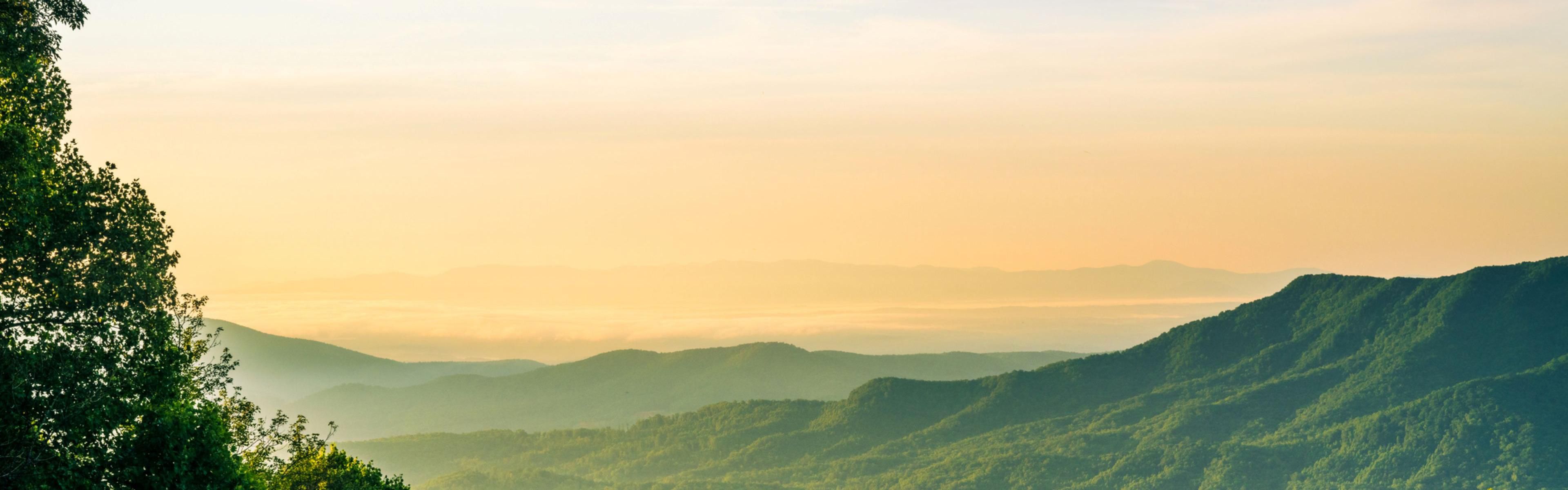 Blue ridge