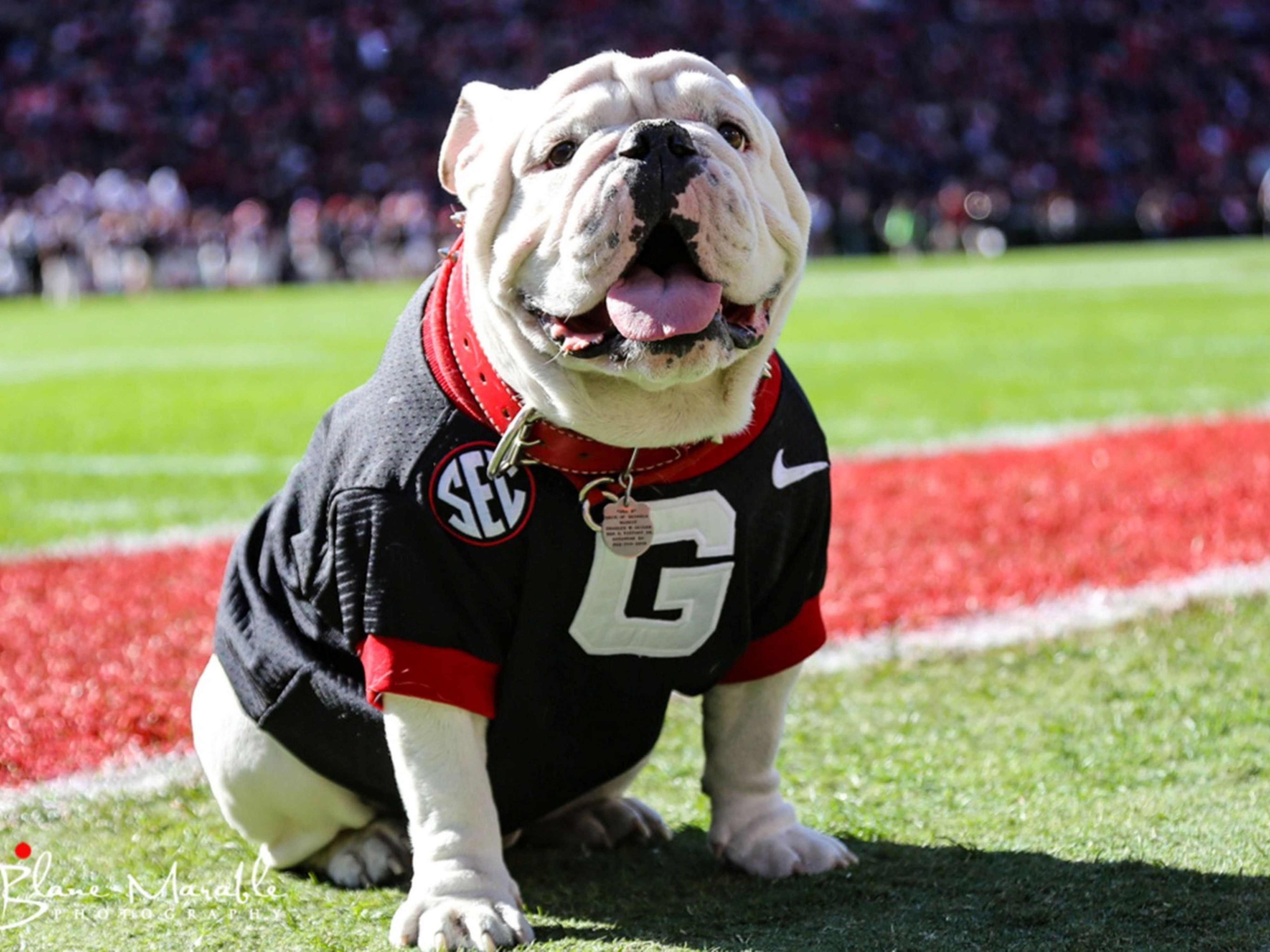 University of Georgia