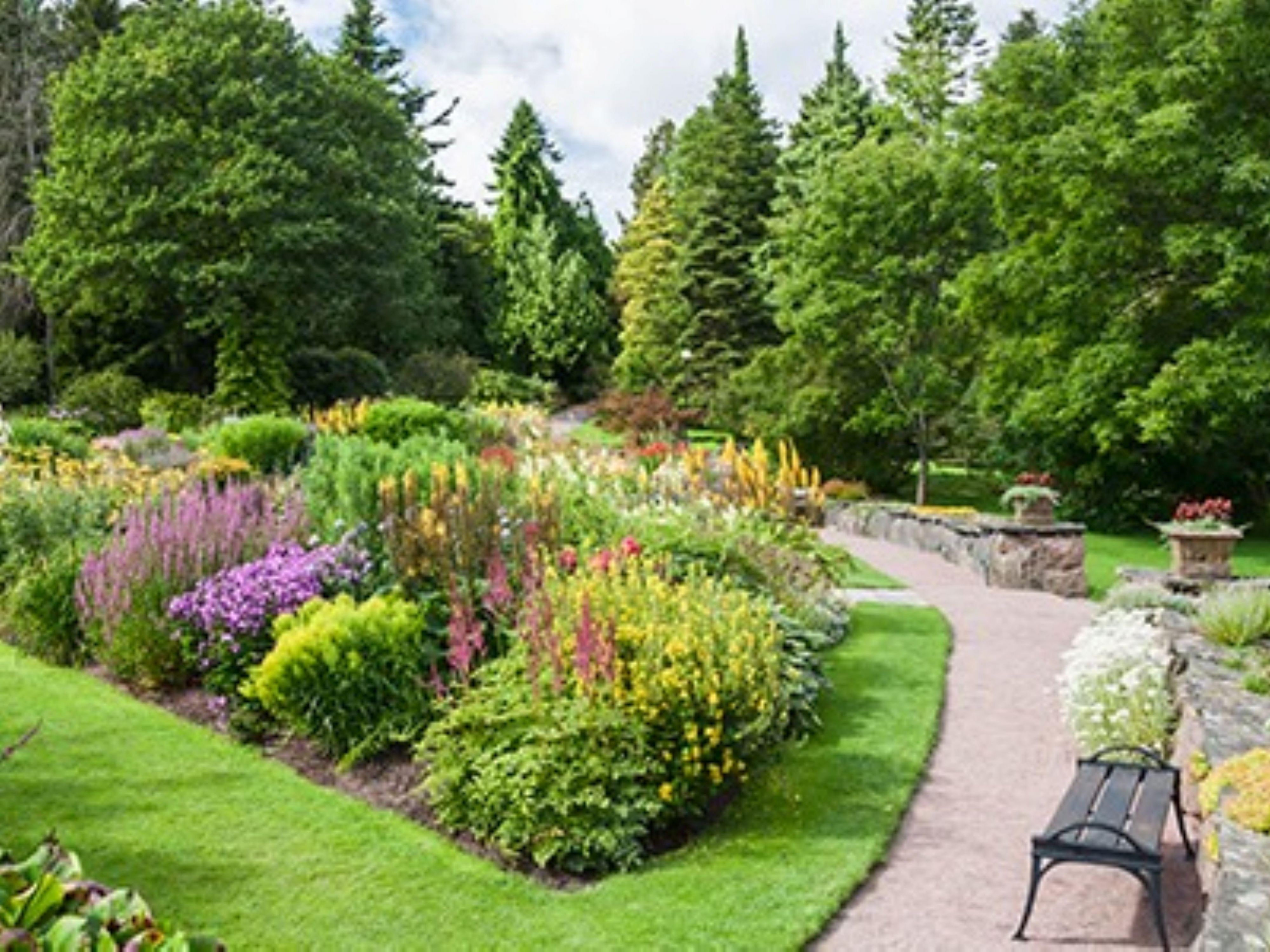 A path winds through a lush botanical garden with flowers.
