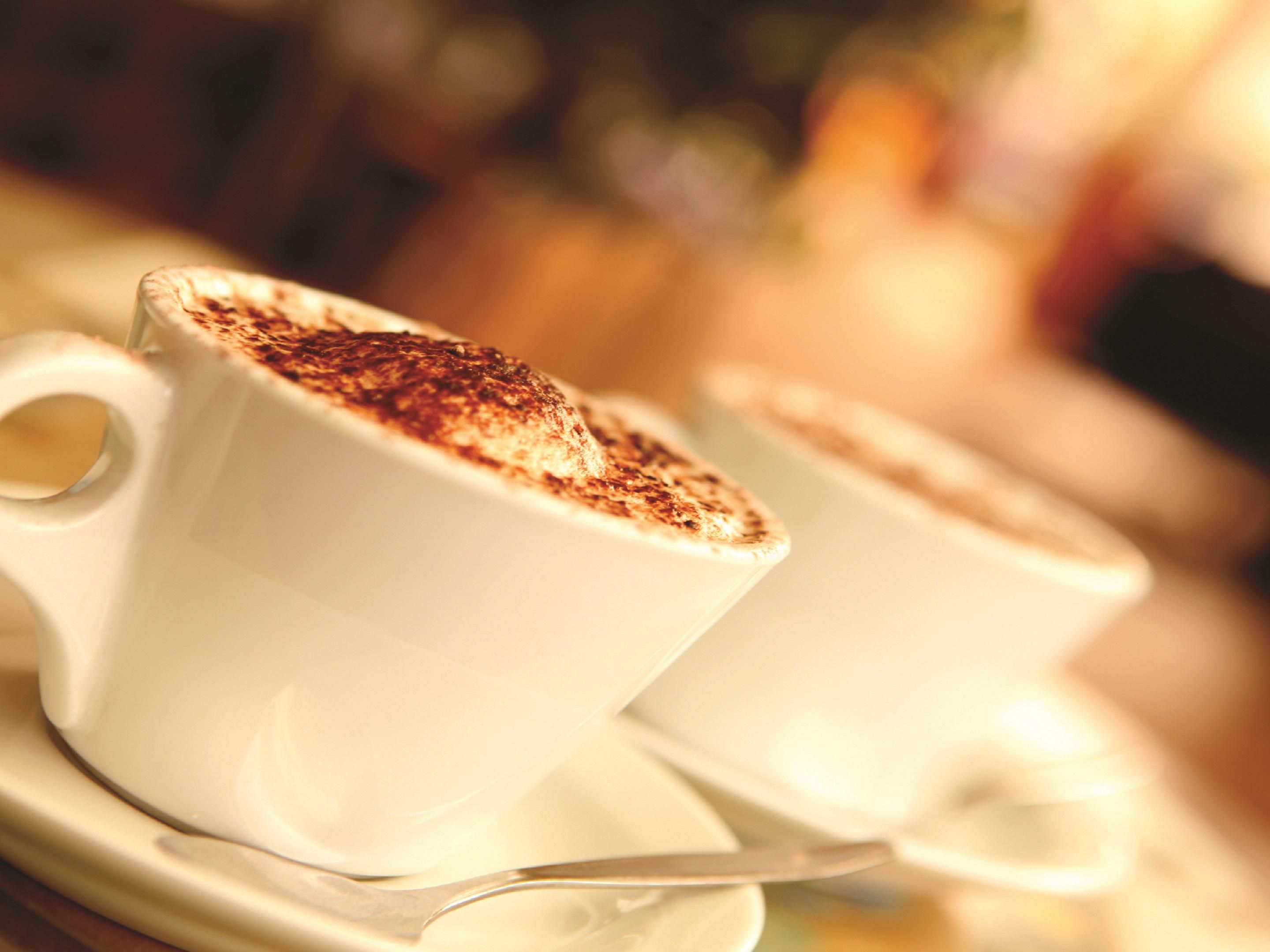 PetFriendly Hotels Near Truist Park Hotel Indigo Atlanta Vinings