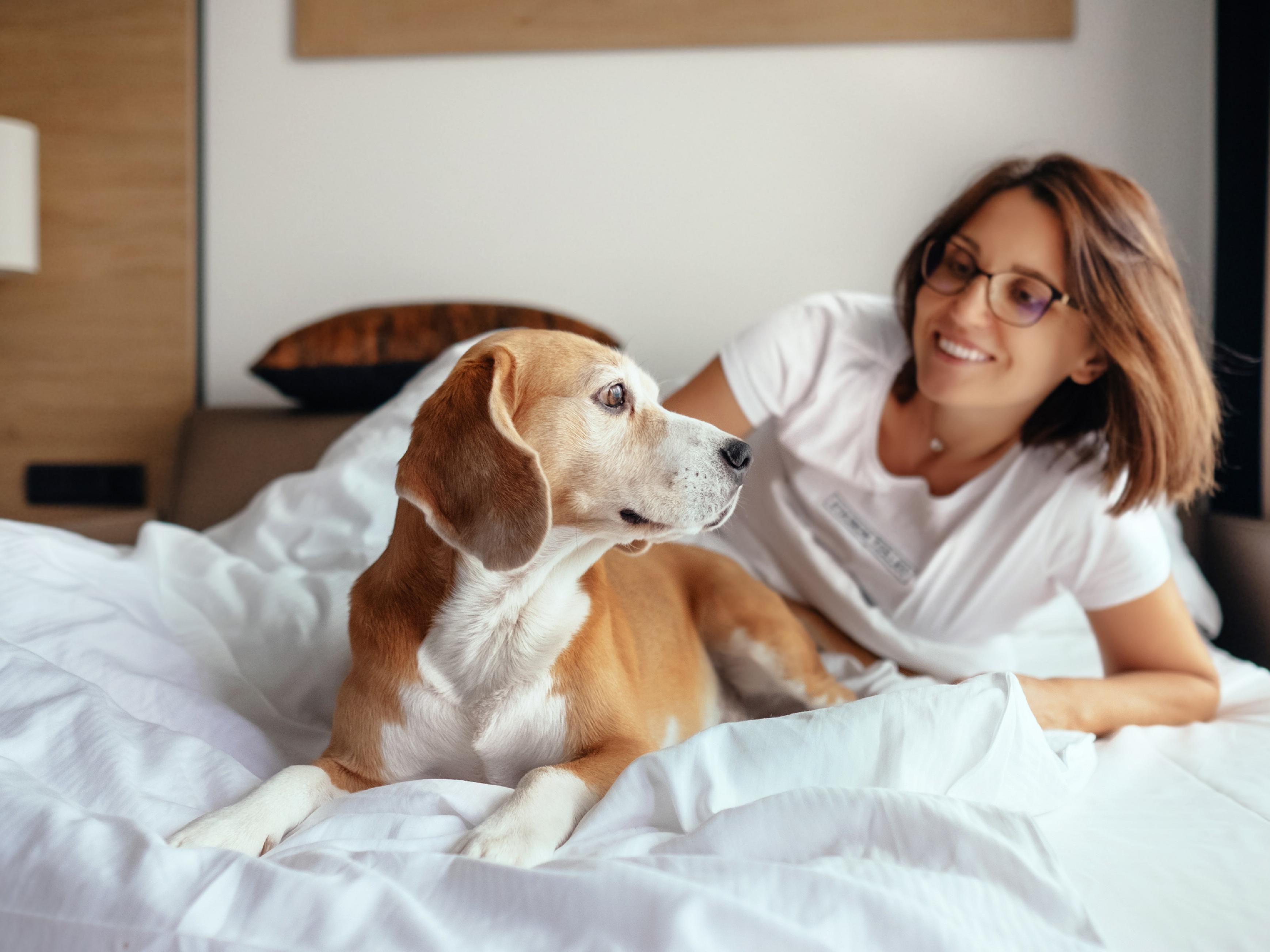 dog and owner on hotel bed