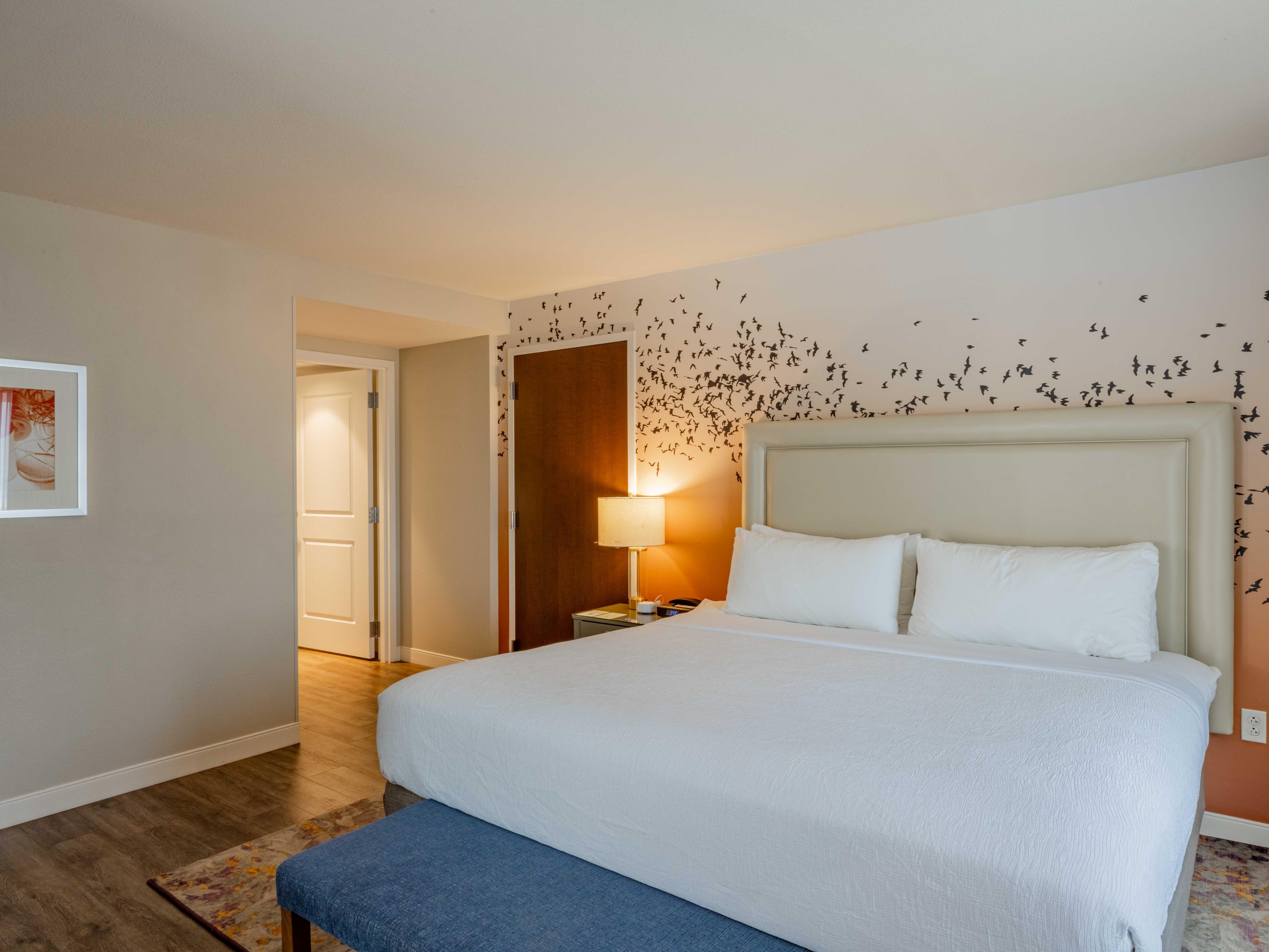 Relax in style in our spacious 1 King Bed accommodations in Texas.