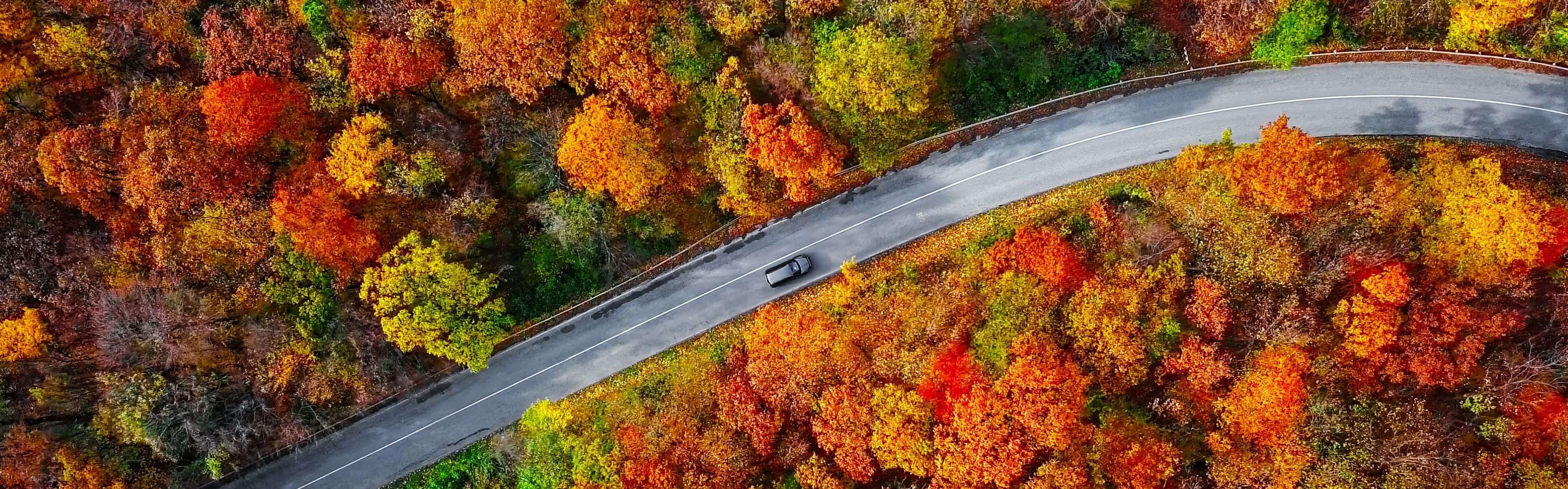 car driving in the fall