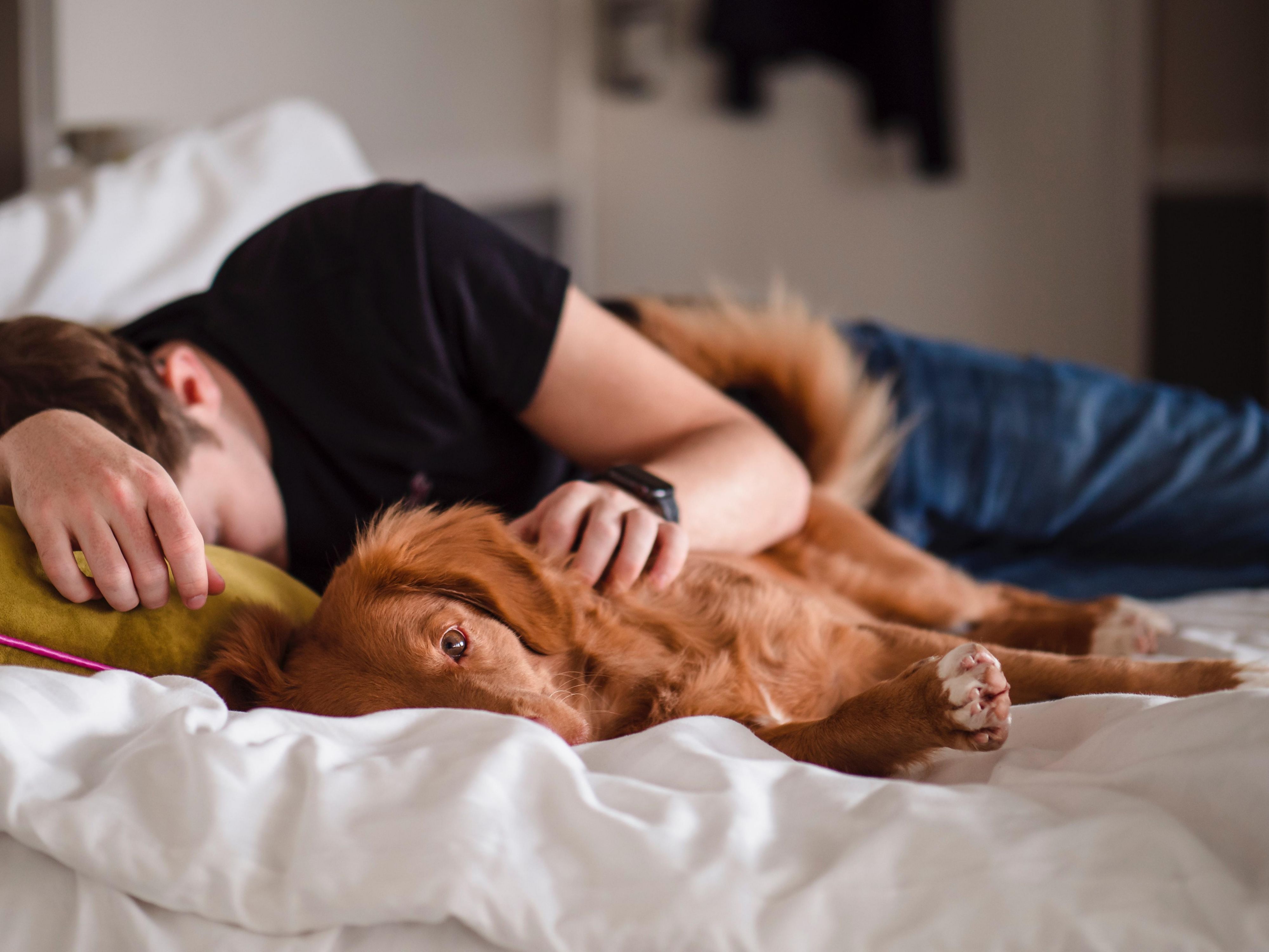 Pet Getaway Package