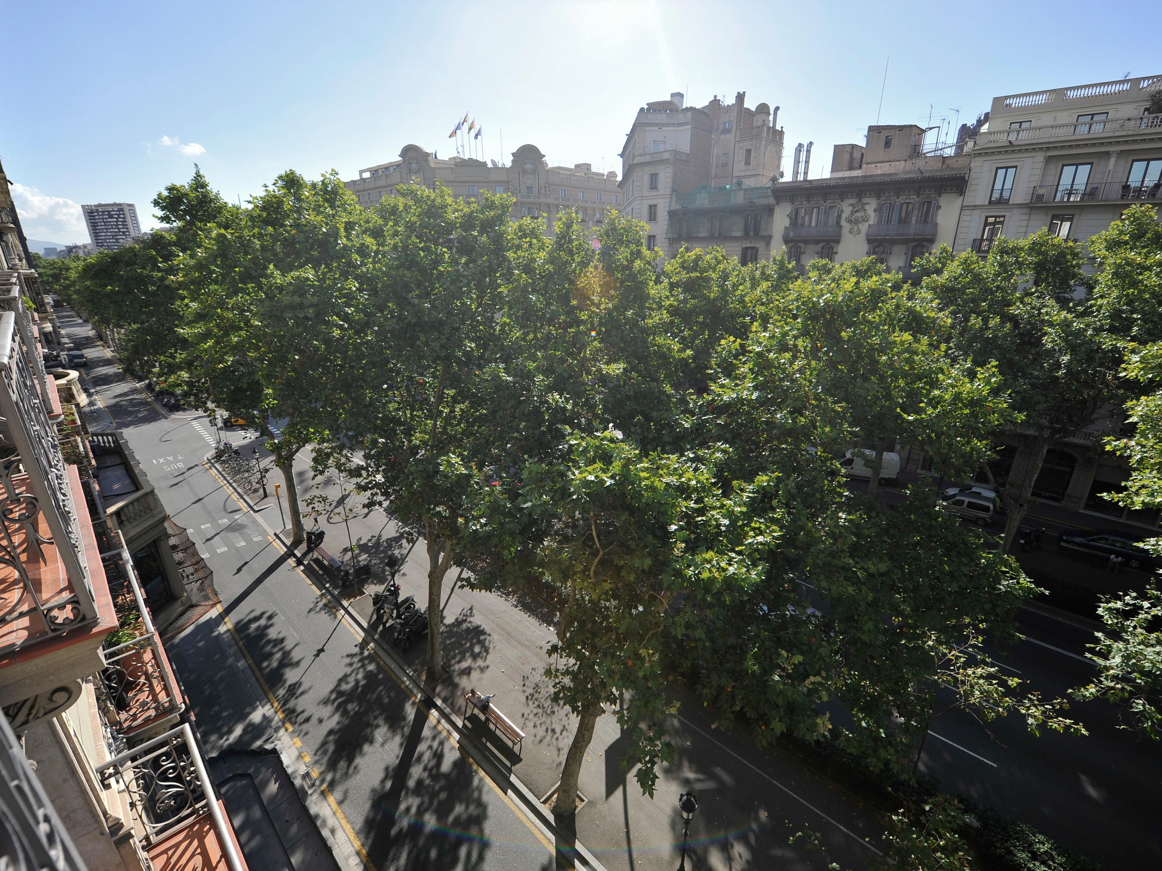 View from Hotel