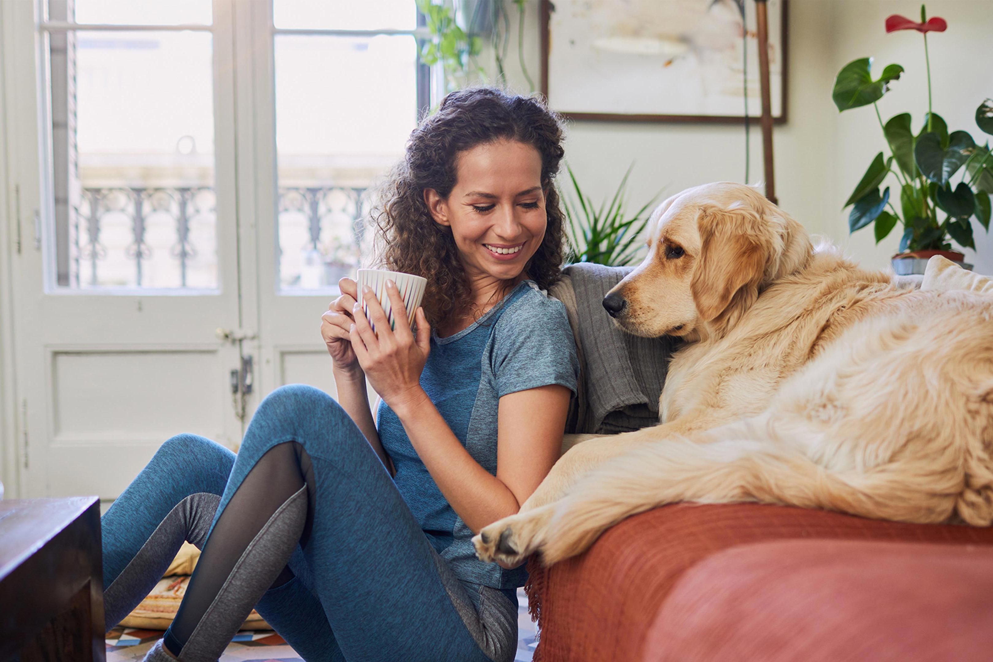 Don't leave your furry friend home! At Hotel Indigo Baton Rouge Downtown Riverfront, we welcome all pets up to 75lbs to stay with us. (Fees may apply, please contact the hotel for more information!)