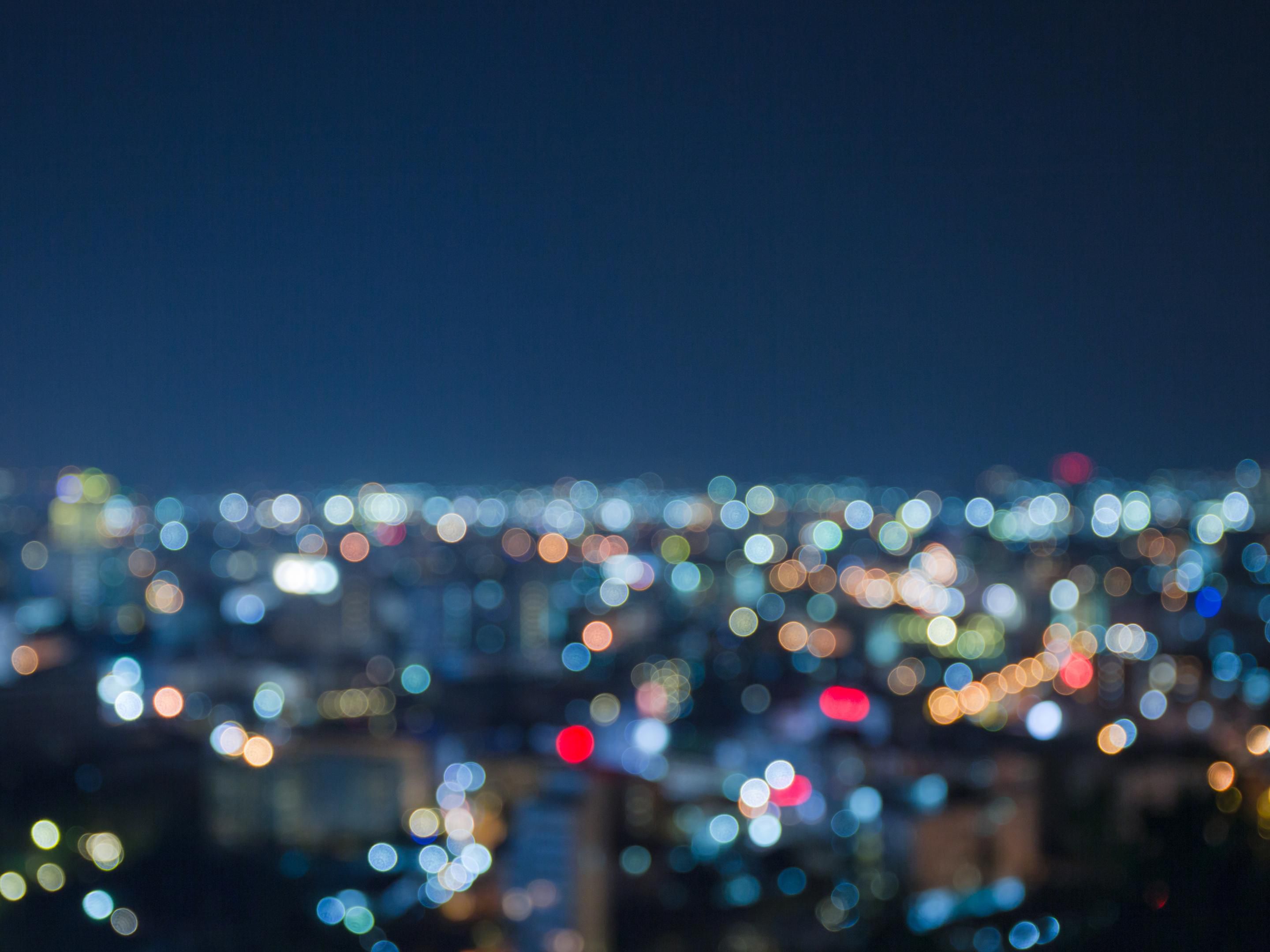 PetFriendly Brooklyn Boutique Hotels in New York Hotel Indigo