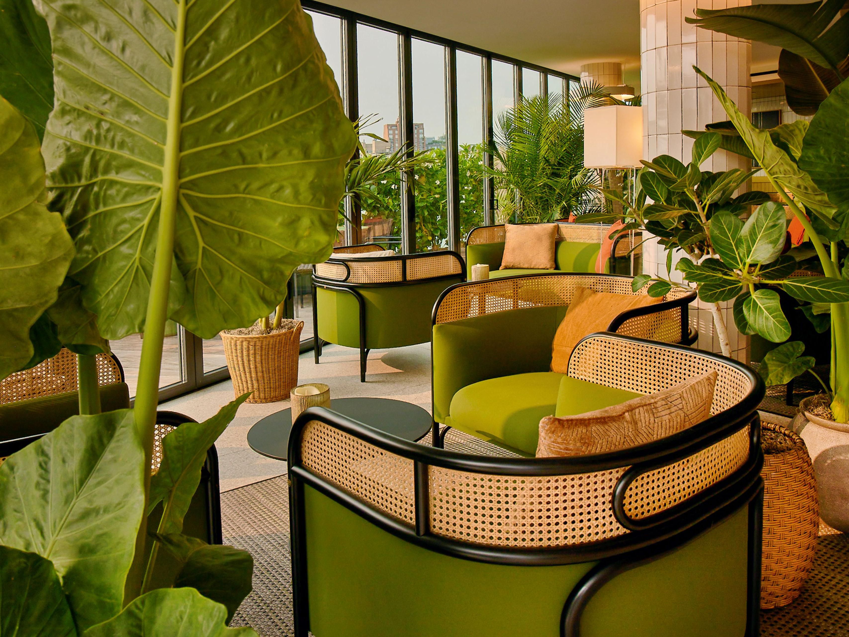 PetFriendly Brooklyn Boutique Hotels in New York Hotel Indigo Williamsburg Brooklyn