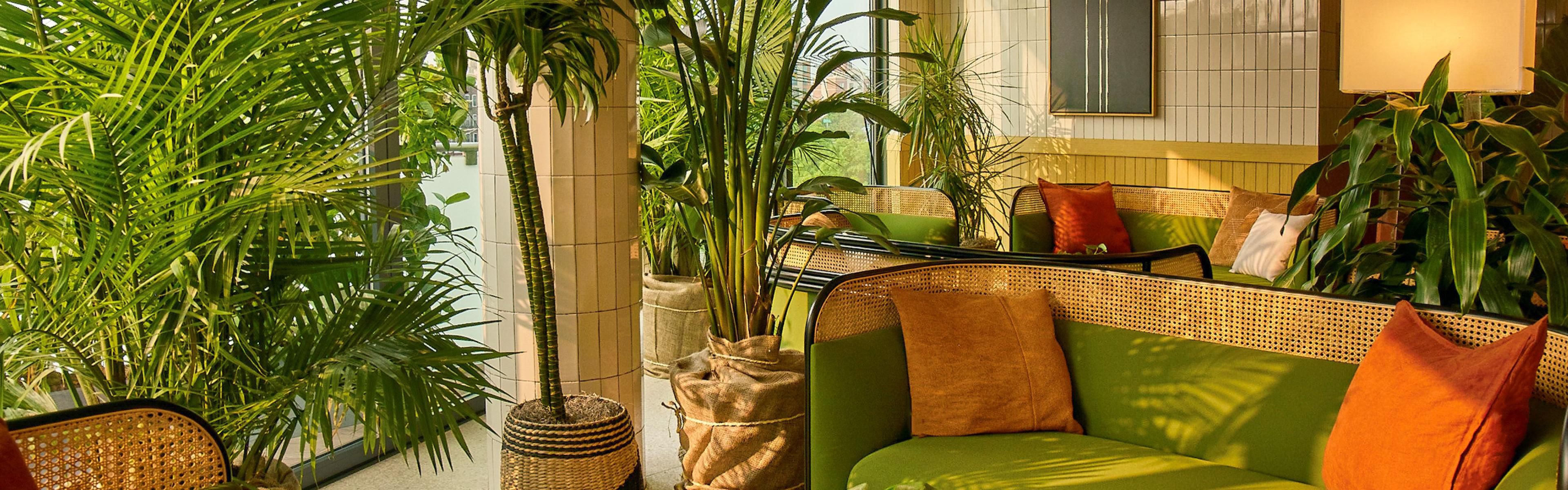 PetFriendly Brooklyn Boutique Hotels in New York Hotel Indigo Williamsburg Brooklyn