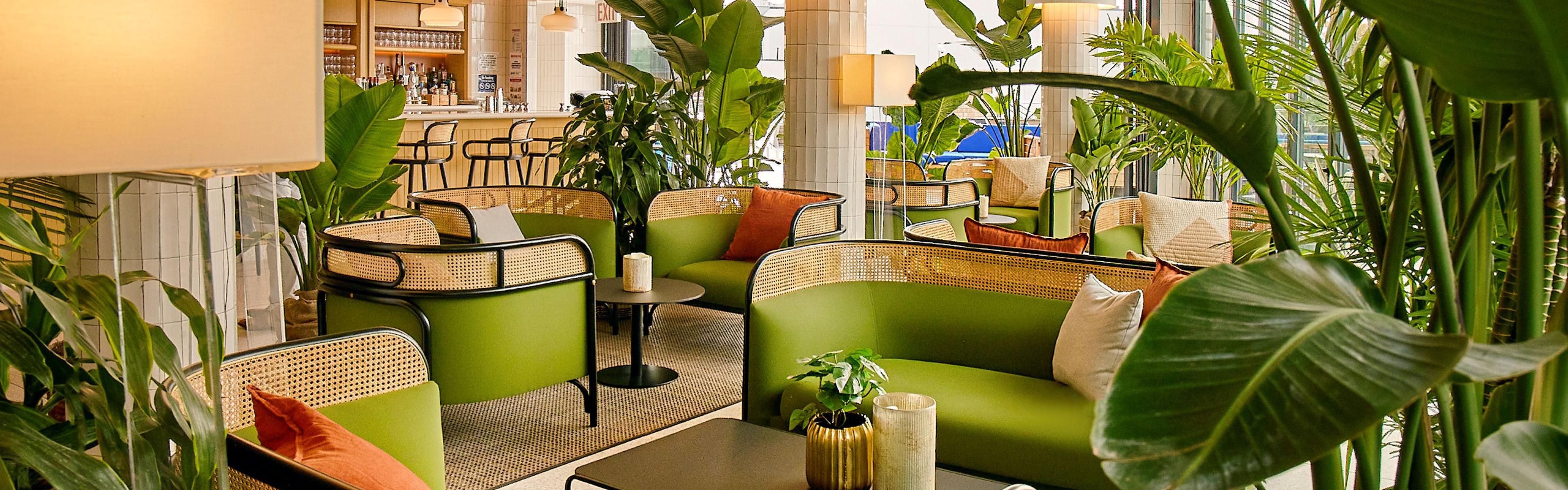 PetFriendly Brooklyn Boutique Hotels in New York Hotel Indigo Williamsburg Brooklyn