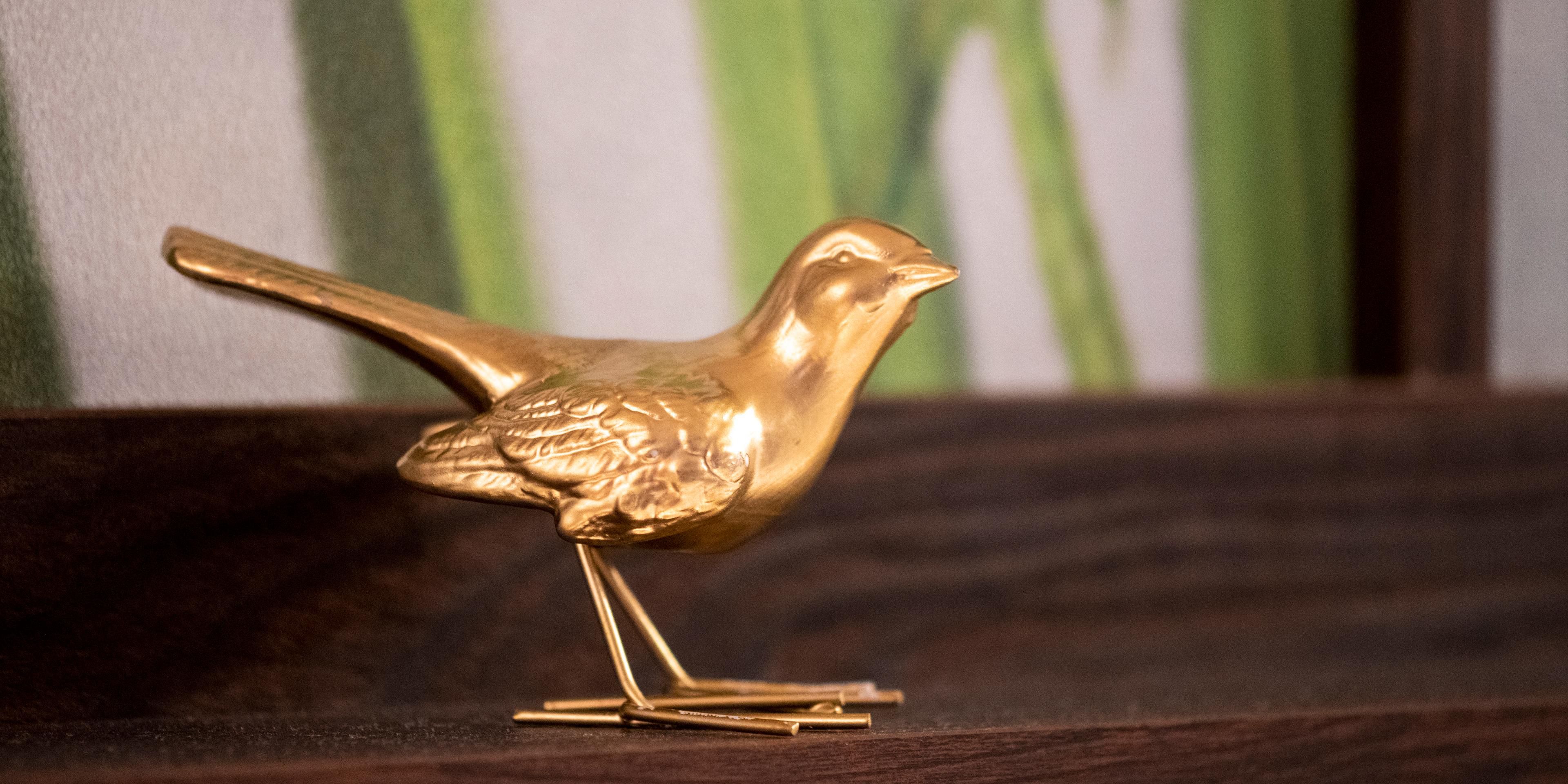 Bird