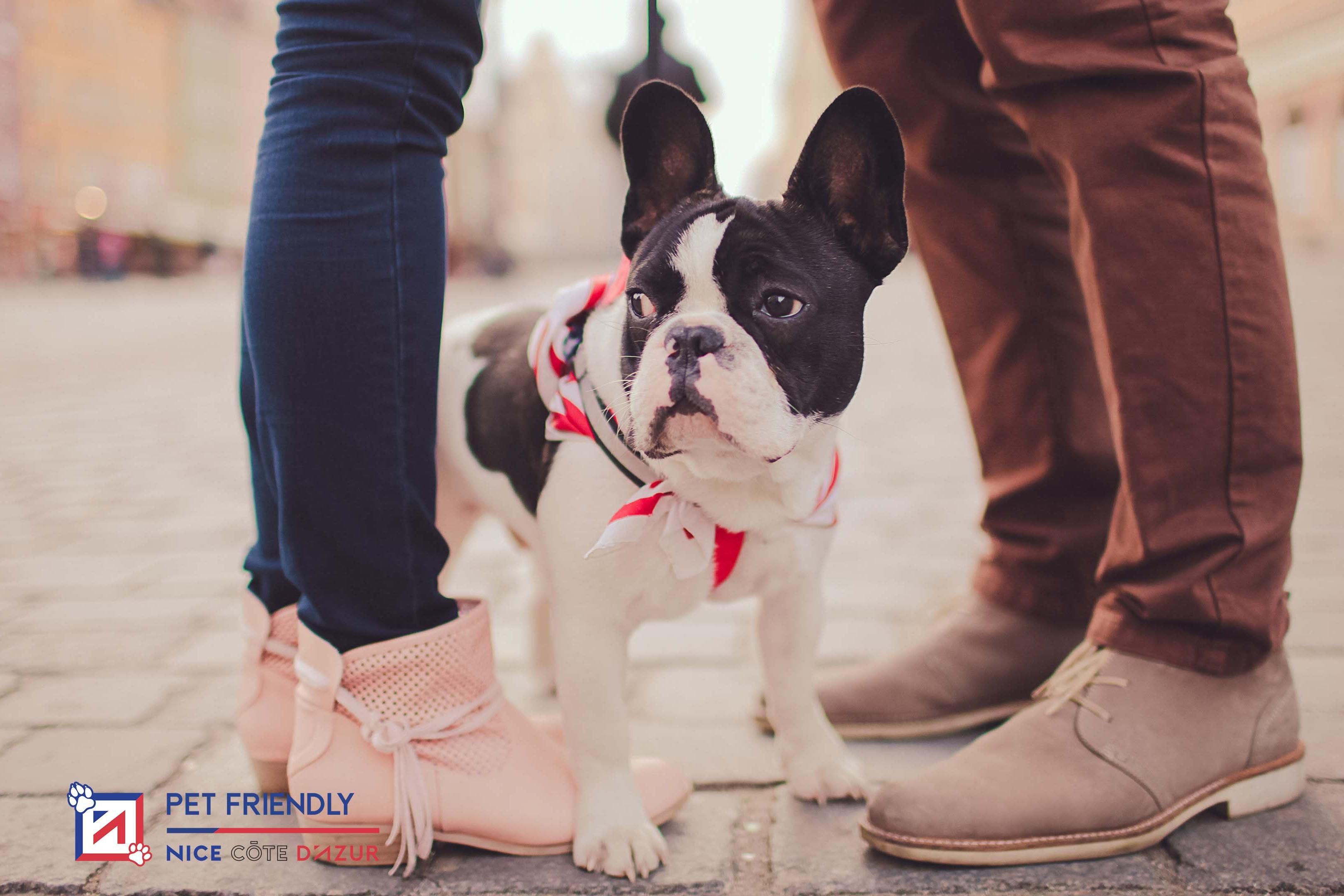 We are happy to welcome your pets as they should be by offering them a special service including bowl and treat, in room at 15 € per night. Hotel Indigo Cagnes-sur-Mer is proud to be labeled Pet Friendly by " Métropole Nice Côte d'Azur".