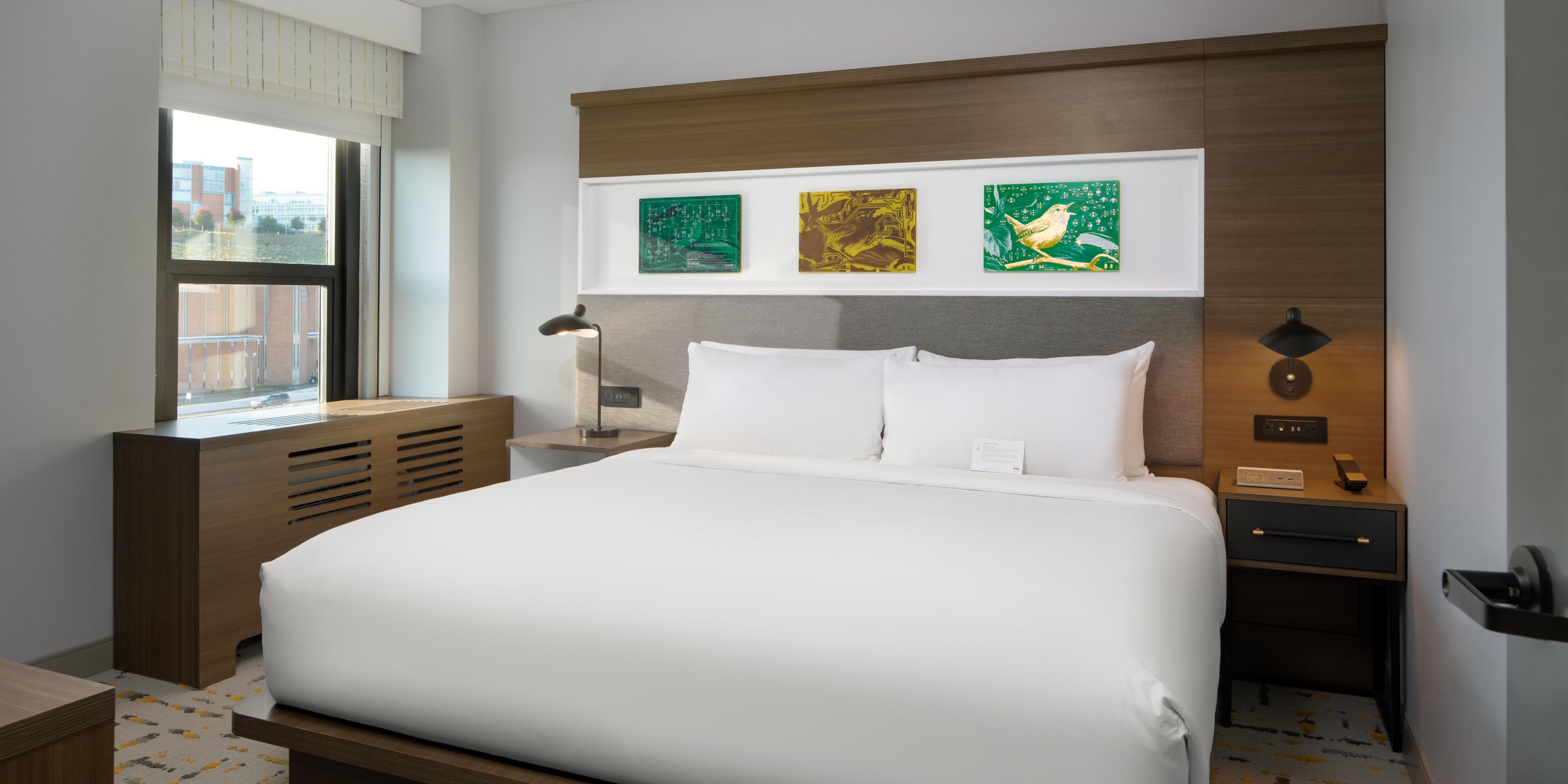 Book our one-bedroom suite for some extra space and privacy! 