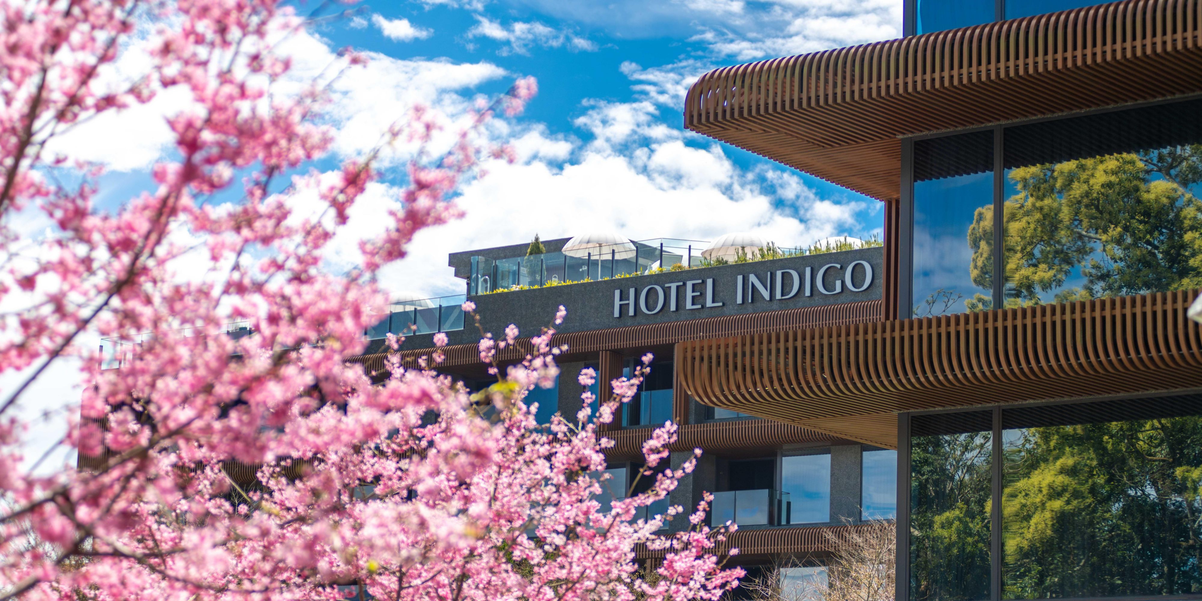 โอเต็ล อินดิโก้® อาลีซาน