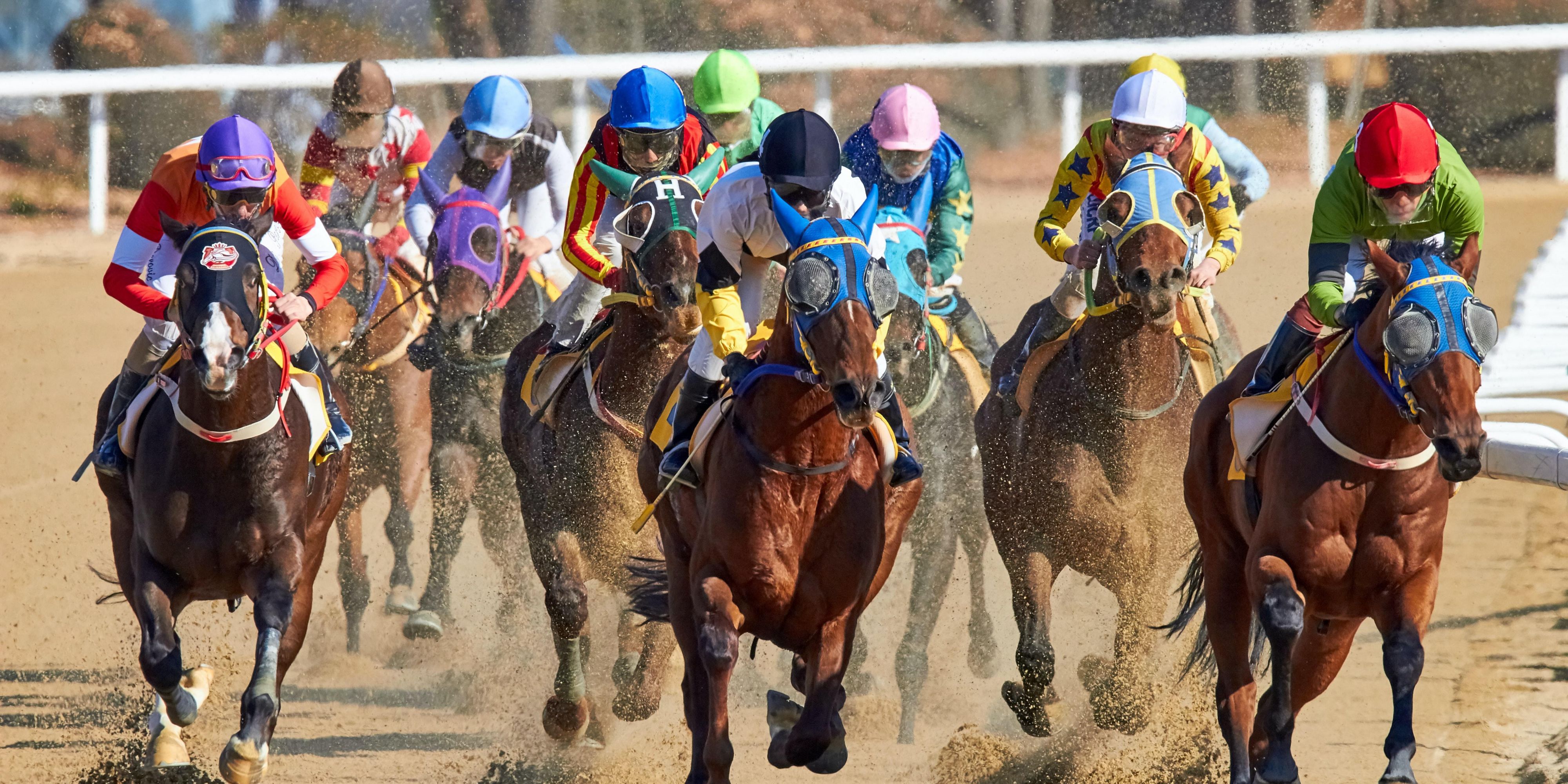 Thrilling horse racing at Del Mar