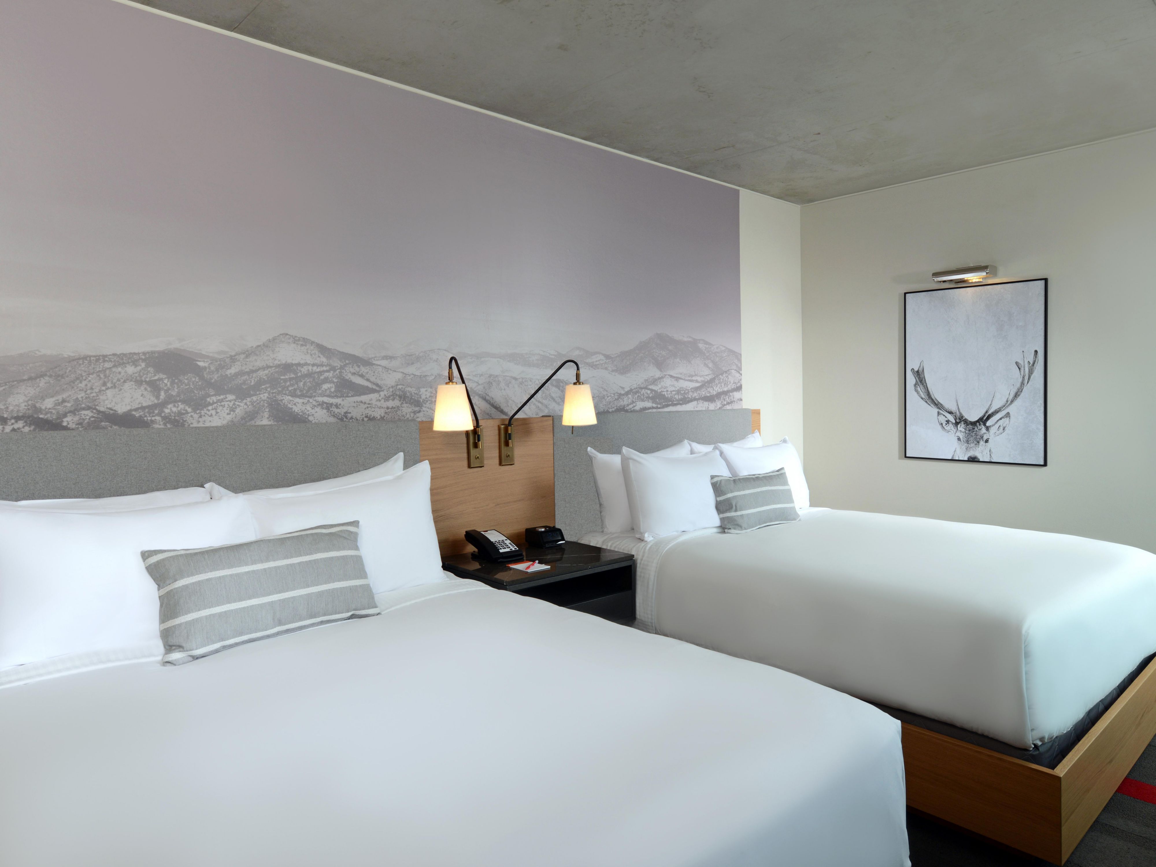Comfortable Accommodations & Denver-Inspired Décor 