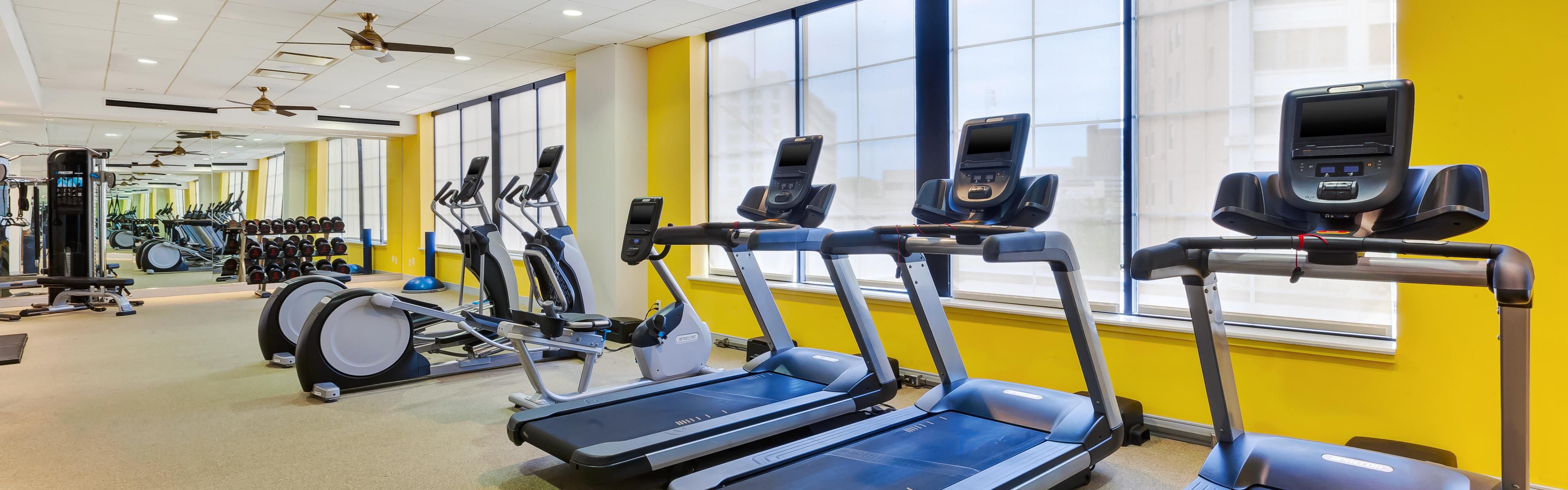 Pet-Friendly Detroit Hotels | Hotel Indigo Detroit Downtown