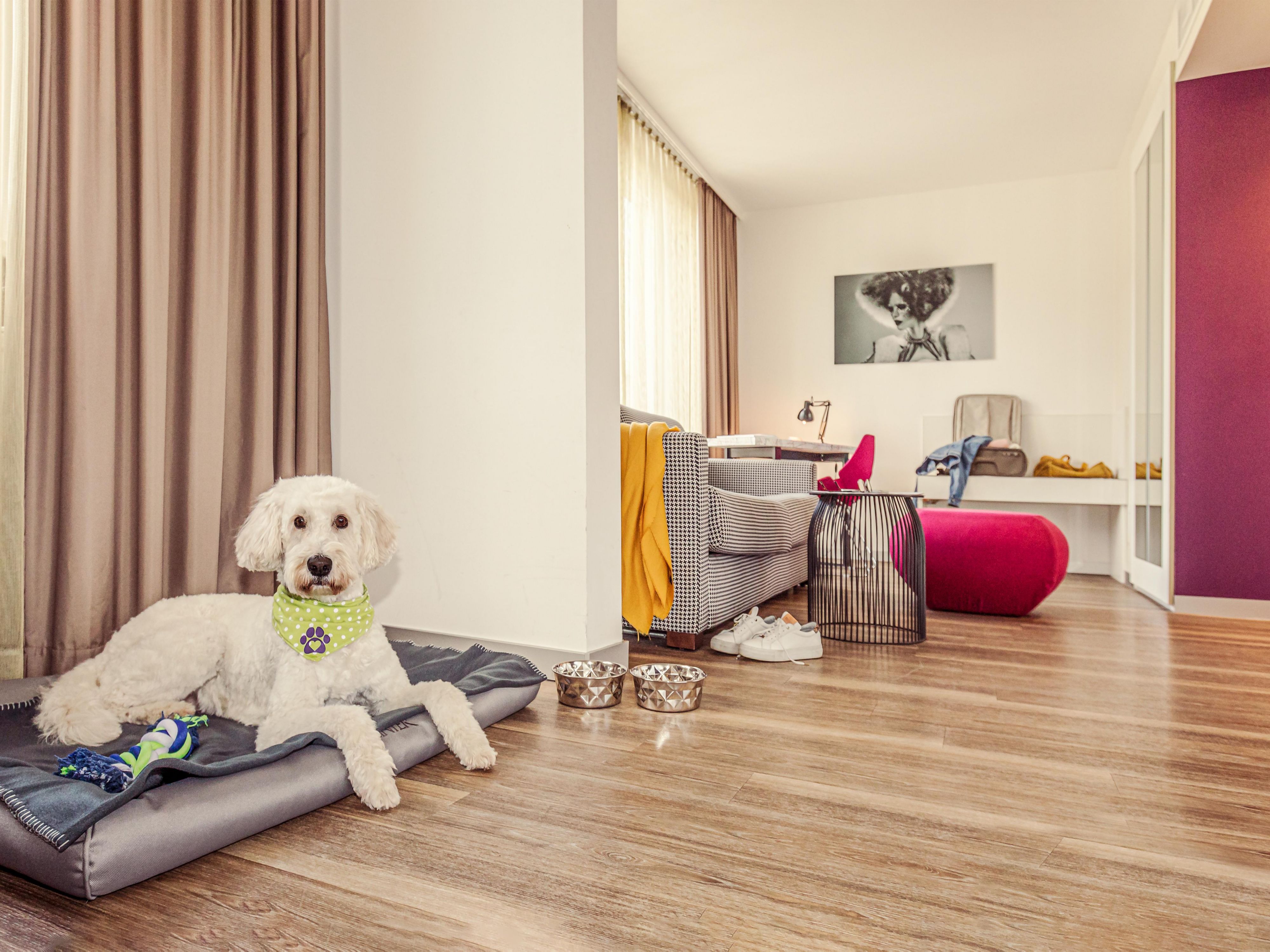 Our light-filled boardroom accommodates up to 12 people – perfect for successful meetings. Stay in stylish rooms with feel-good bathrooms. For group inquiries and more information, we are happy to assist.