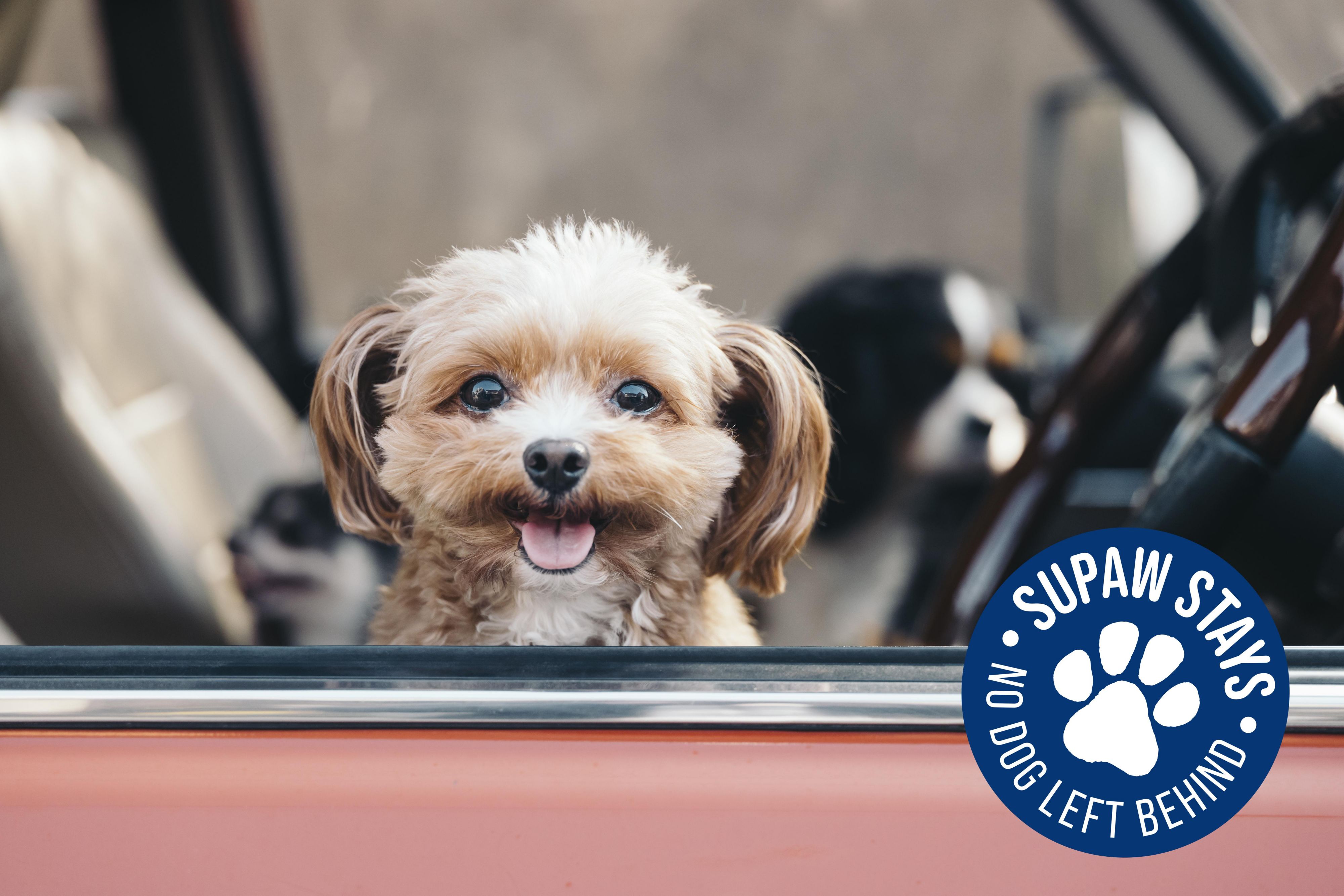 Bring your four-legged friend for a SuPaw Stay to our dog-friendly hotel in Edinburgh. For just an additional £15 per night which includes a pouch of SeaSnax treats. 

We’ve partnered up with Winston’s Doggy Day Care in Portobello so you can enjoy exploring whilst your dog plays. Bookings to be made direct via them. 

Discover more below.
